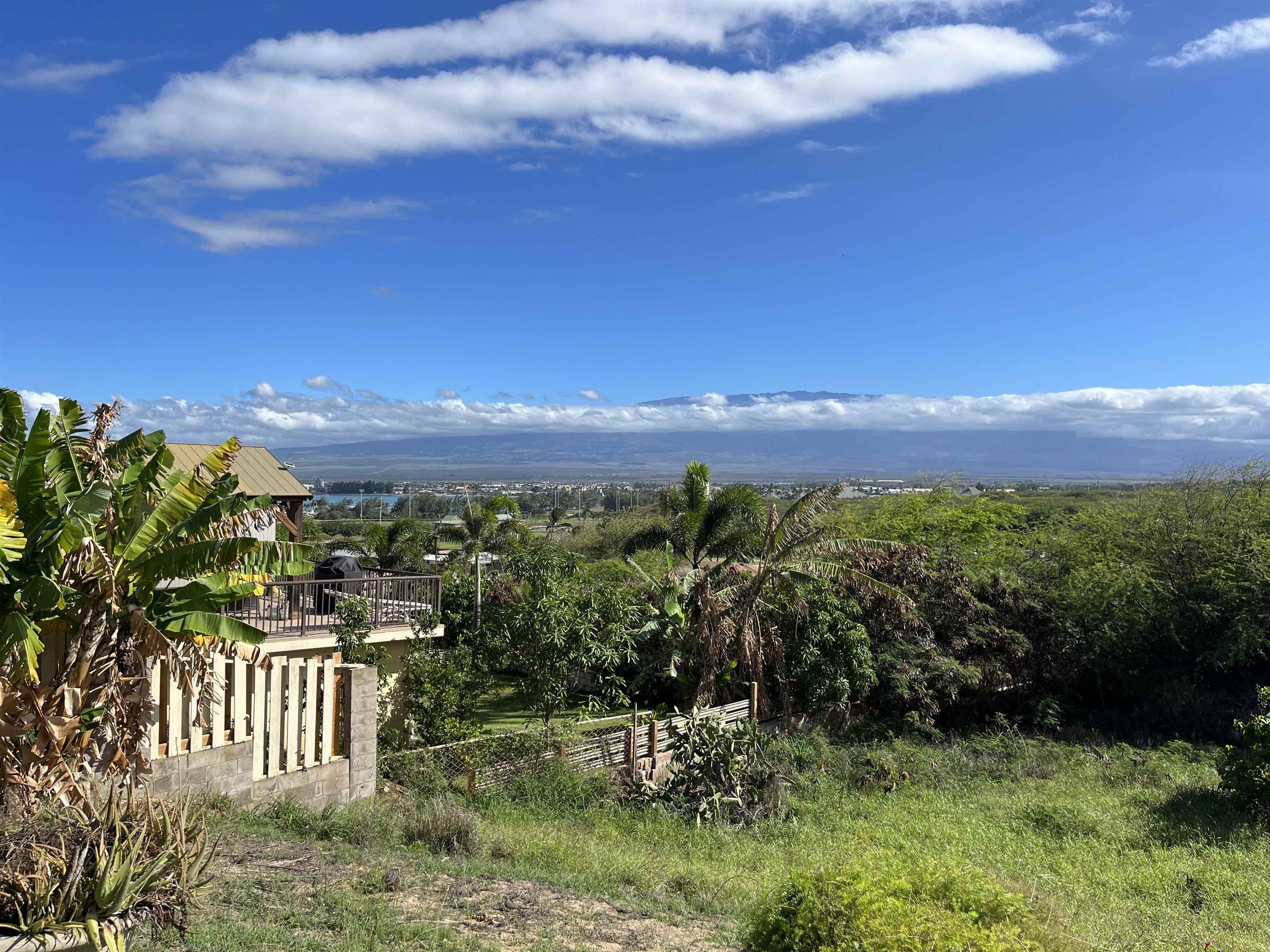496  LihoLiho St , Wailuku home - photo 2 of 16