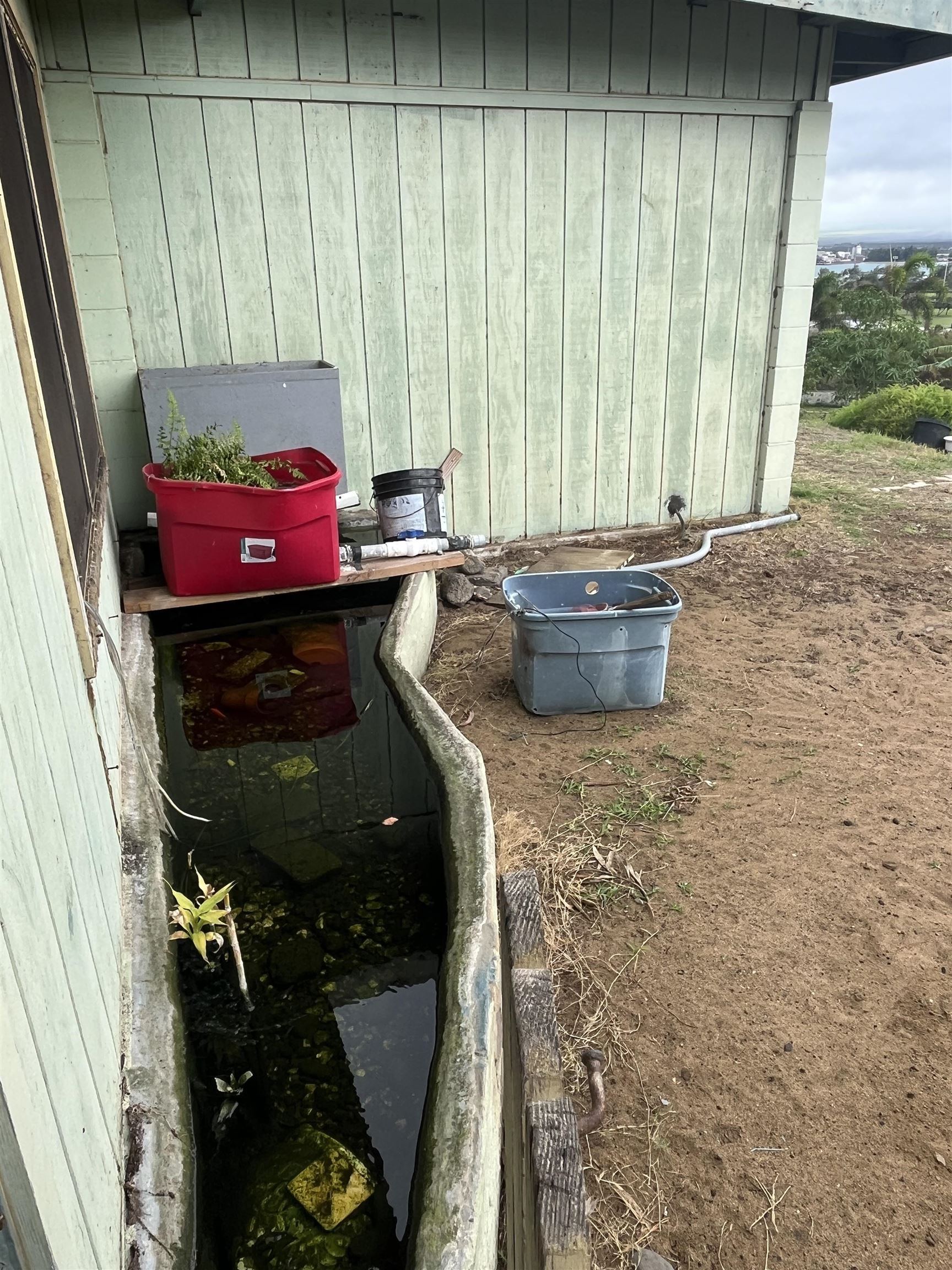 496  LihoLiho St , Wailuku home - photo 15 of 16