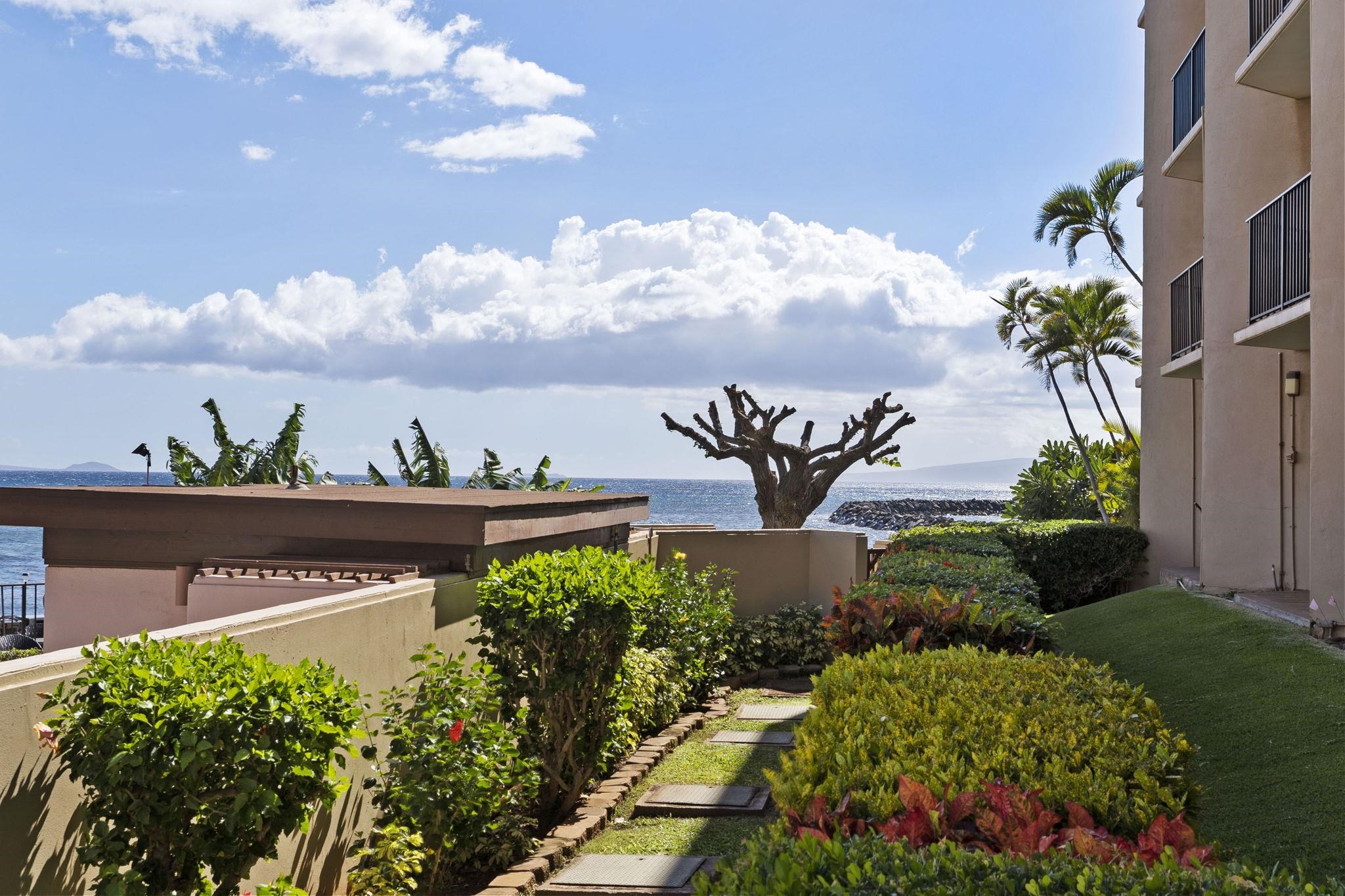 Milowai condo # 102, Wailuku, Hawaii - photo 19 of 30