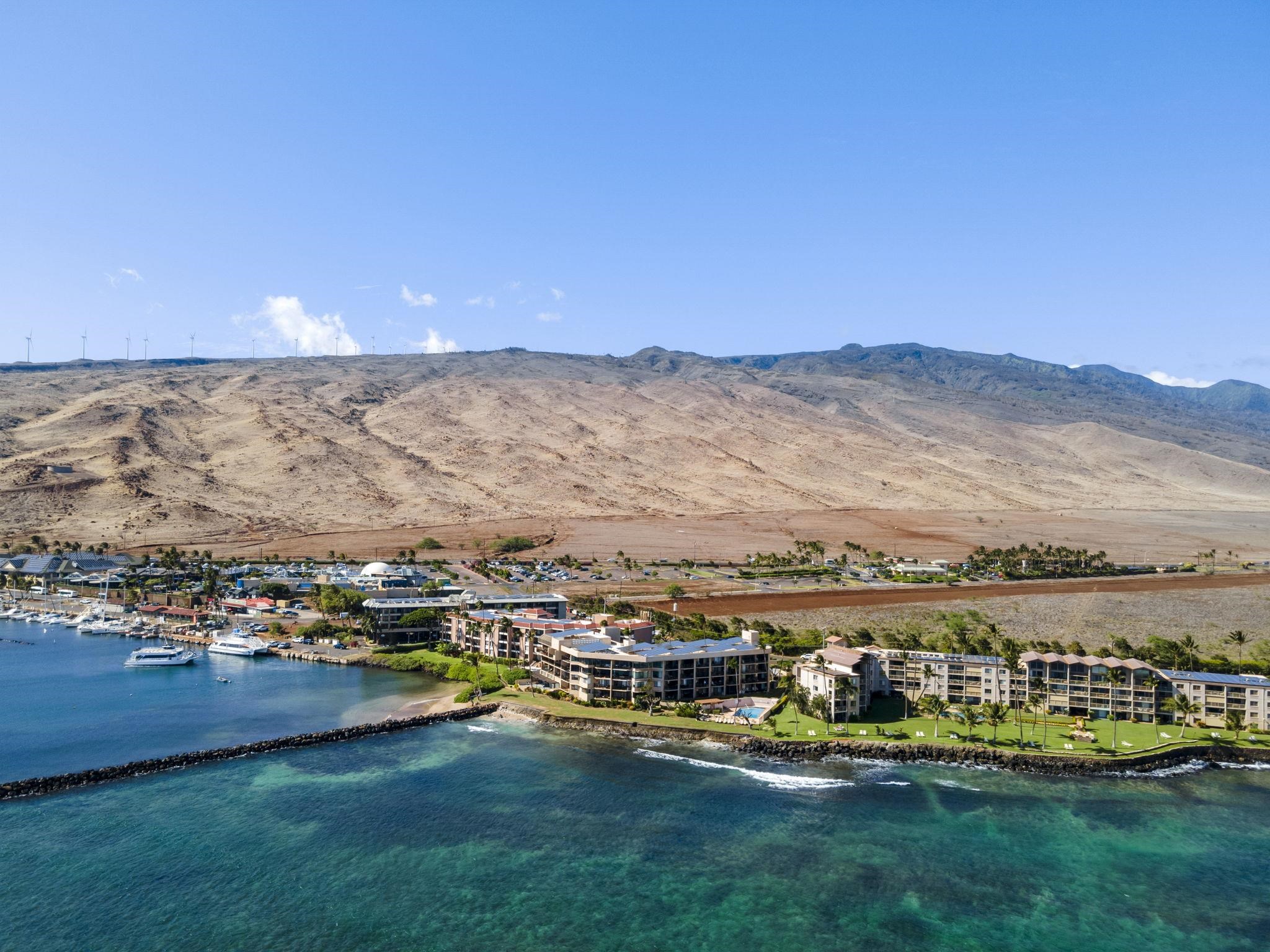 Milowai condo # 102, Wailuku, Hawaii - photo 3 of 30
