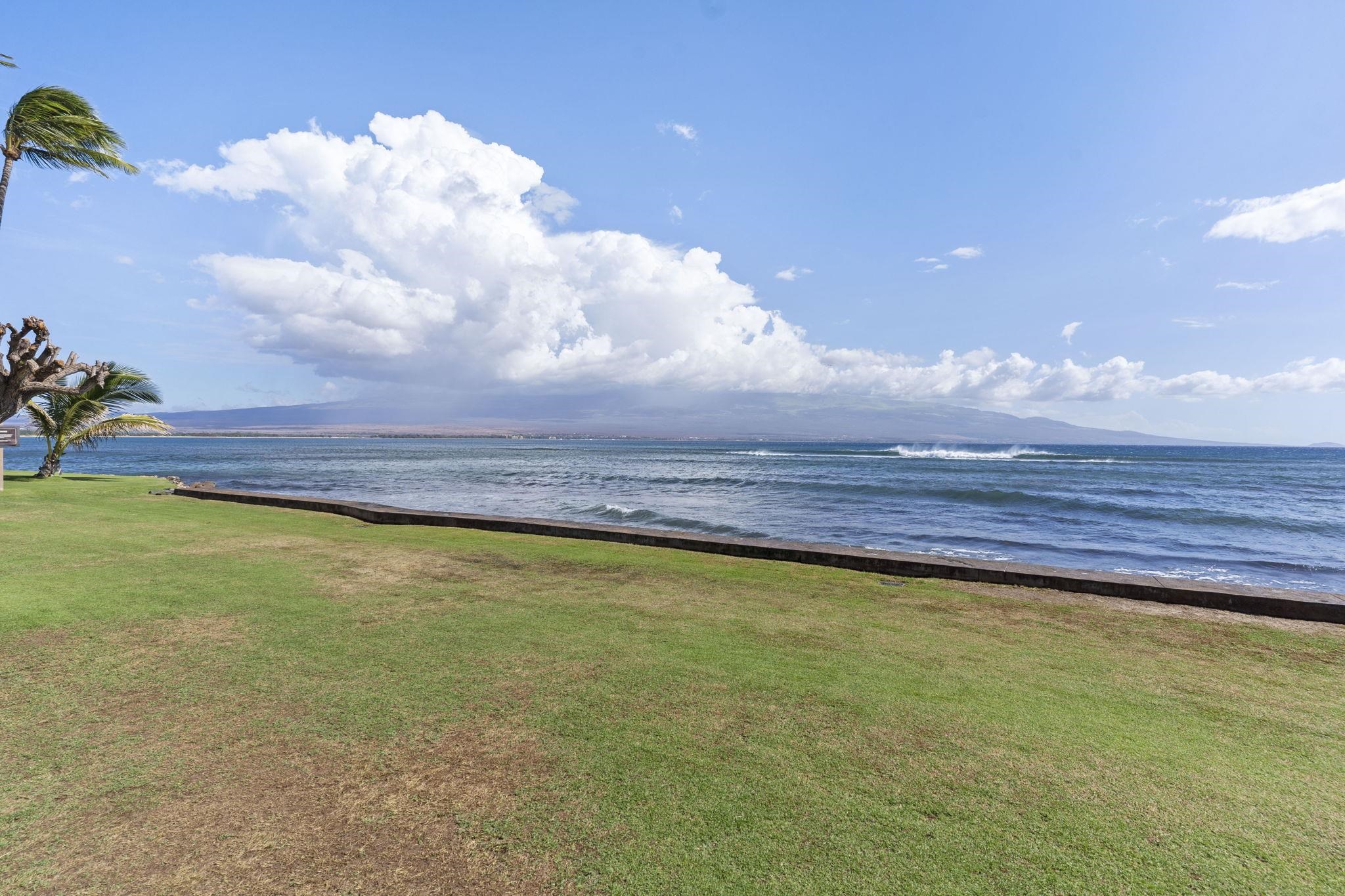Milowai condo # 102, Wailuku, Hawaii - photo 29 of 30