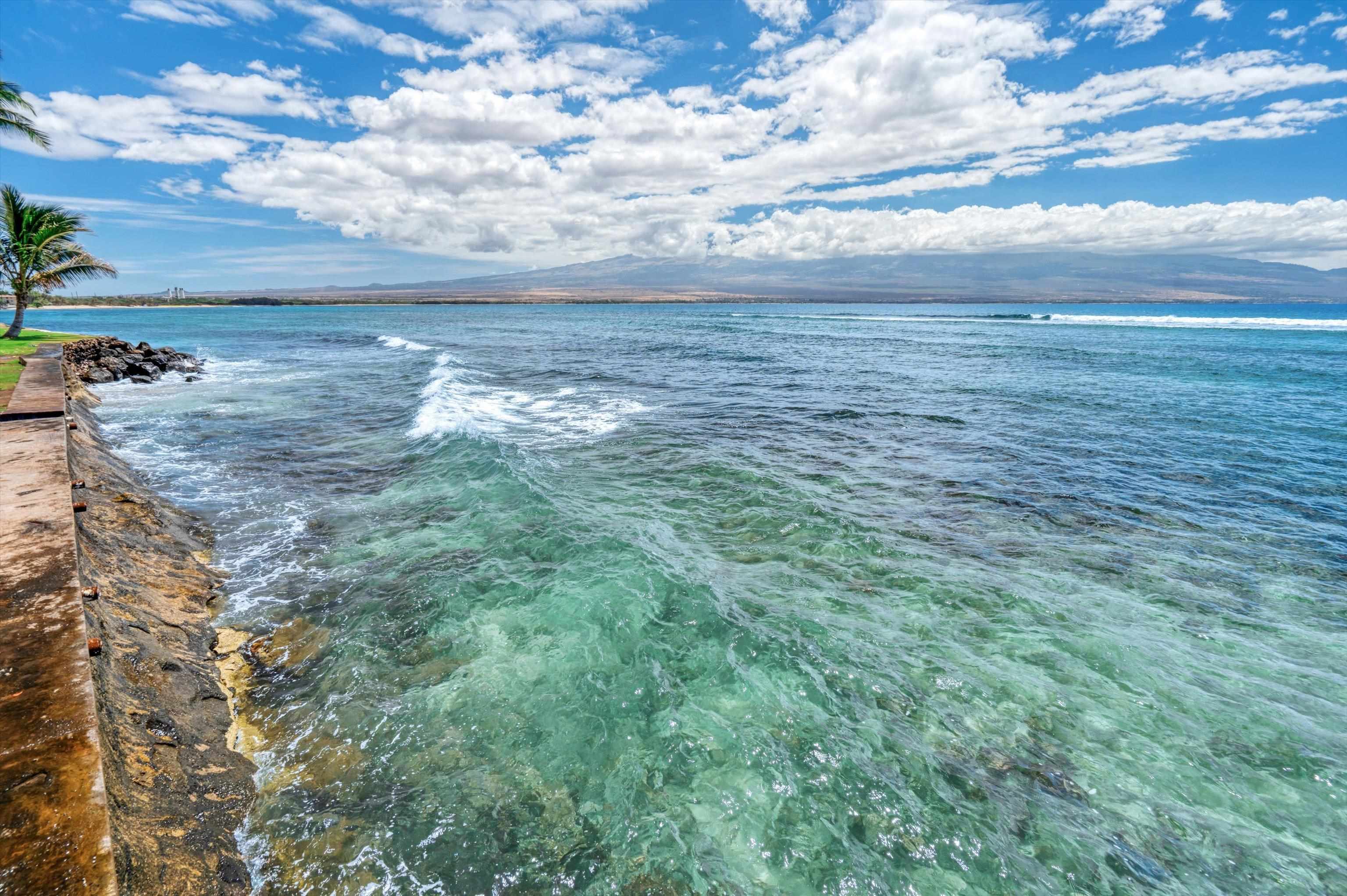 Milowai condo # 103, Wailuku, Hawaii - photo 22 of 45