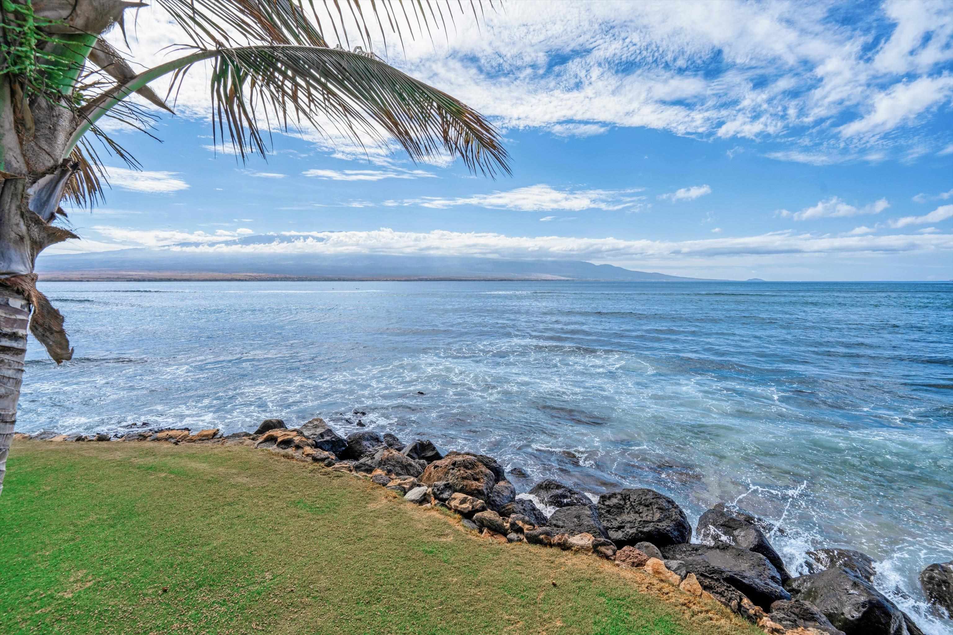 Milowai condo # 103, Wailuku, Hawaii - photo 32 of 45