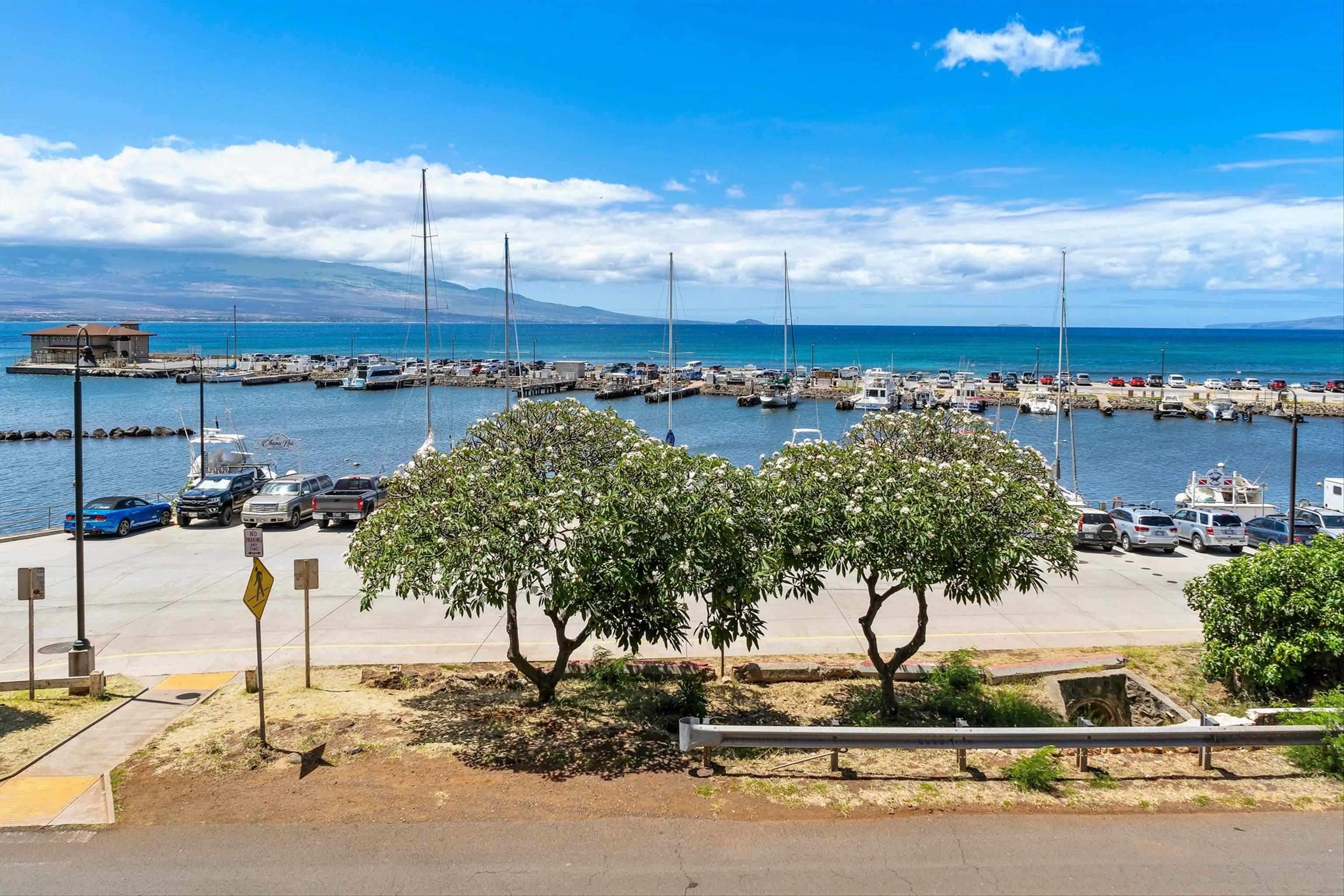 Milowai condo # 103, Wailuku, Hawaii - photo 41 of 45