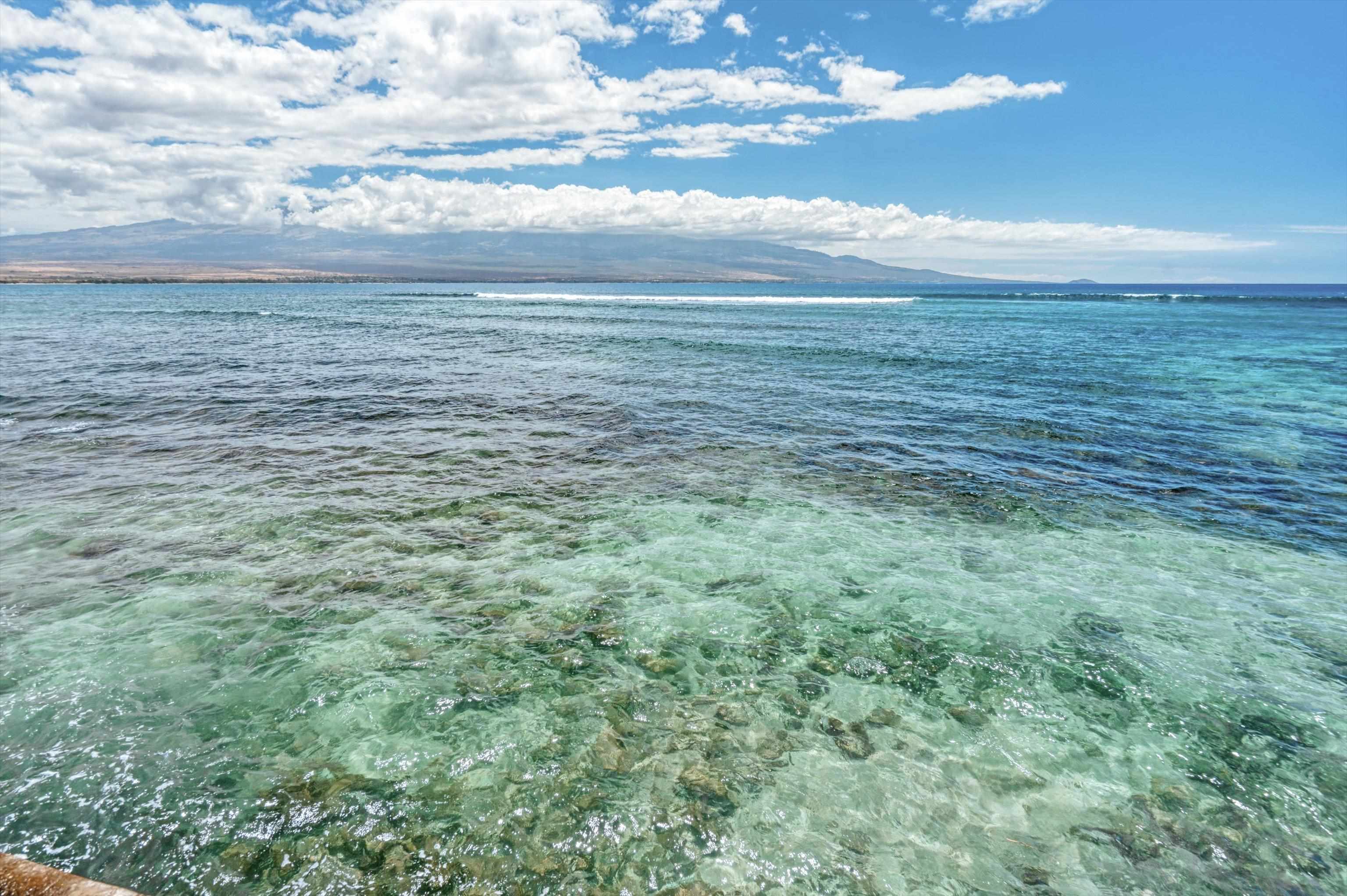 Milowai condo # 104, Wailuku, Hawaii - photo 24 of 47