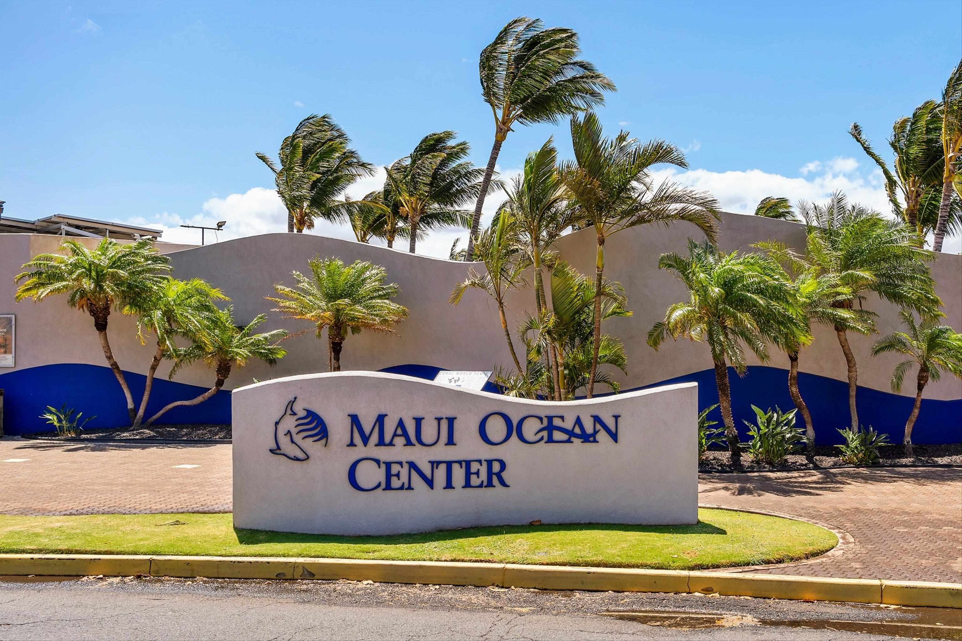 Milowai condo # 104, Wailuku, Hawaii - photo 45 of 47