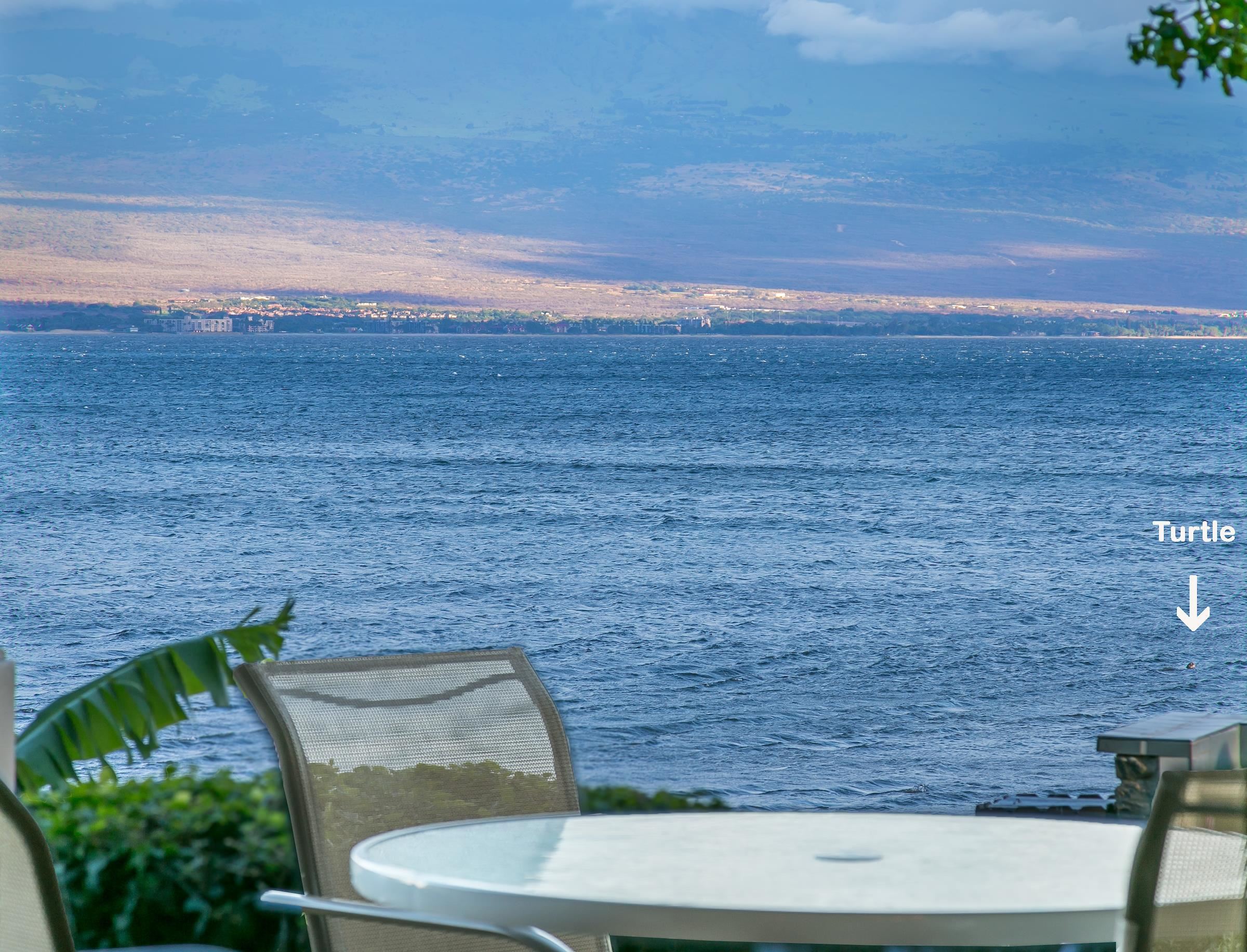 Milowai condo # 106, Wailuku, Hawaii - photo 21 of 24