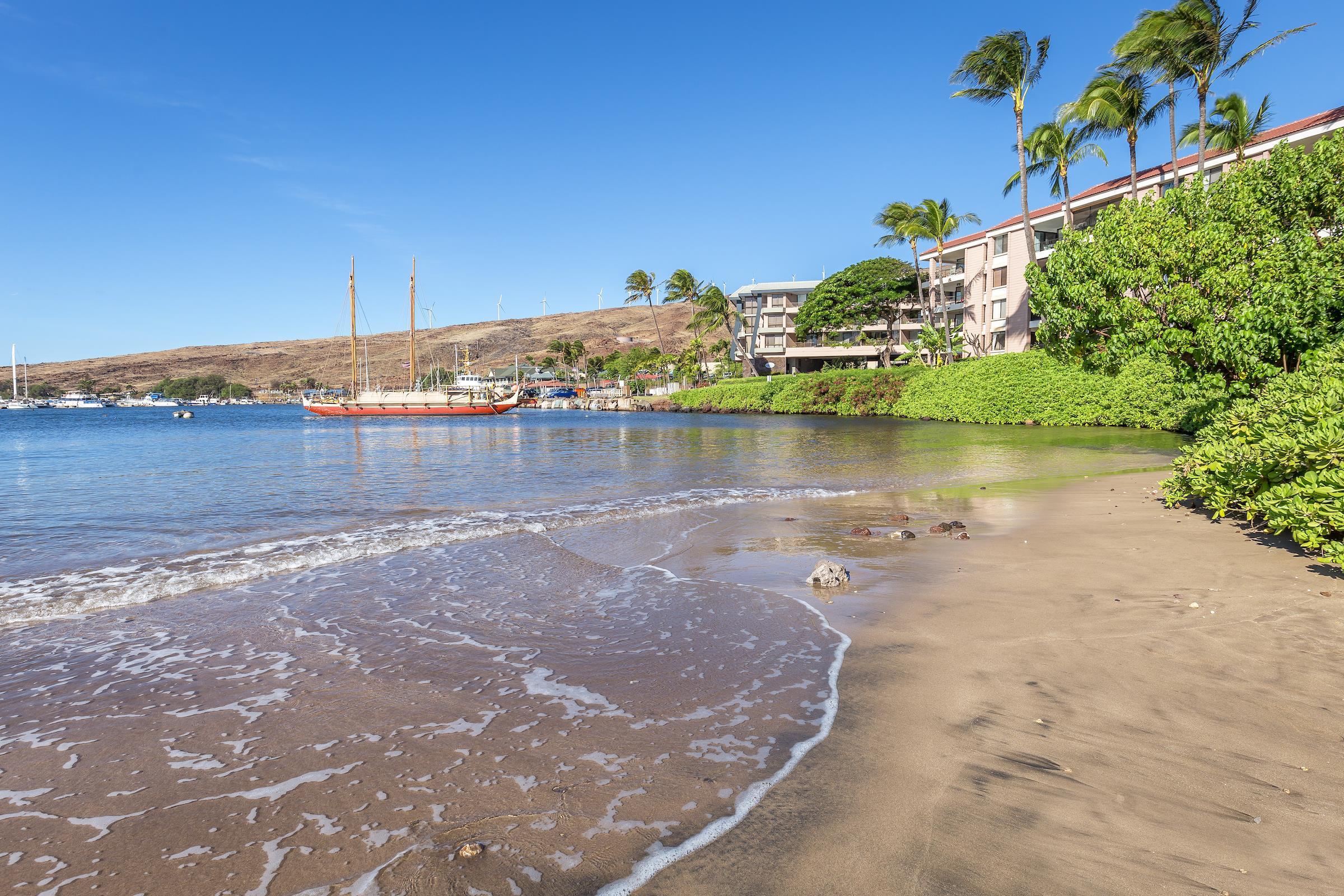Milowai condo # 106, Wailuku, Hawaii - photo 23 of 24