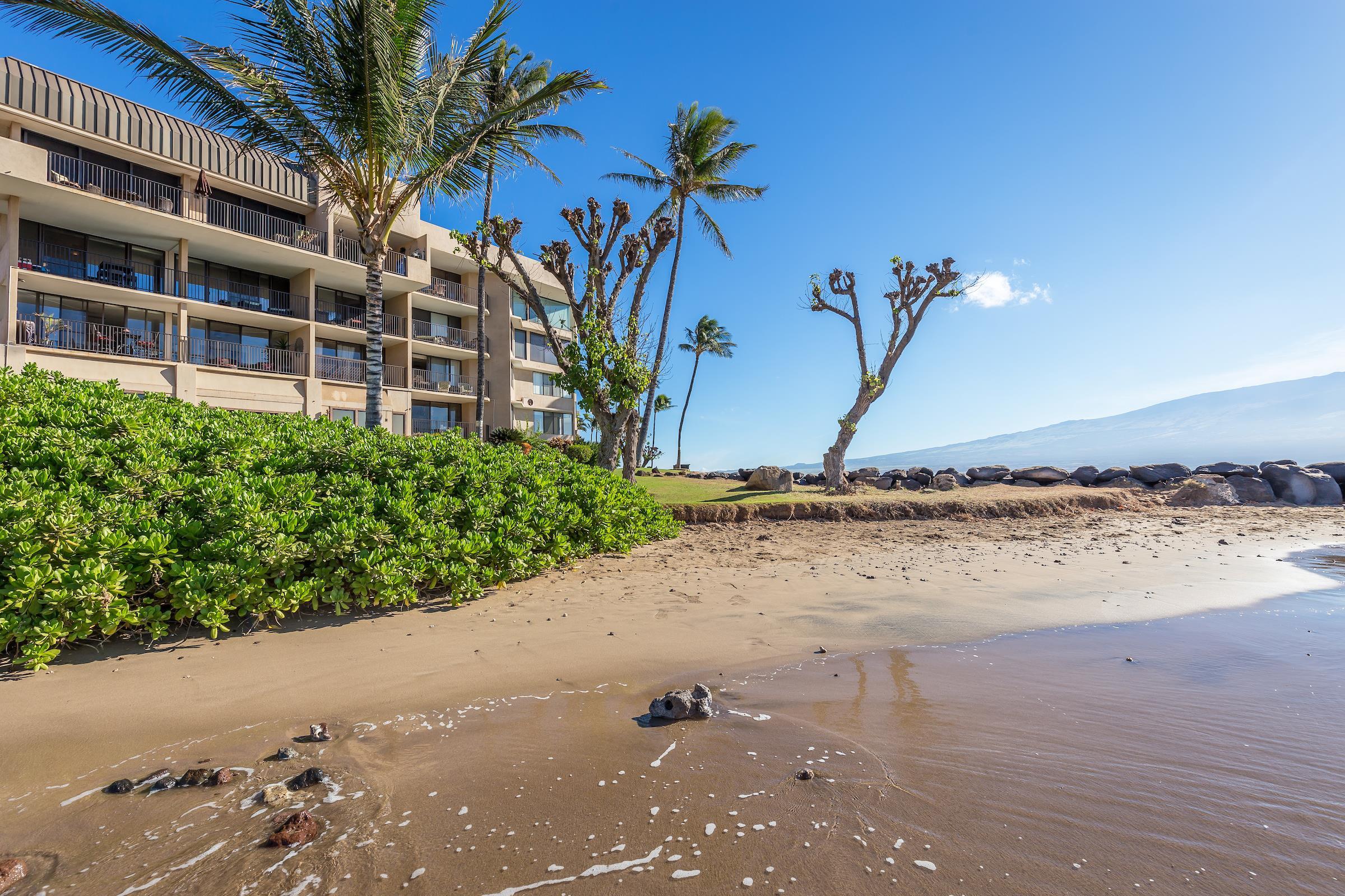 Milowai condo # 106, Wailuku, Hawaii - photo 24 of 24
