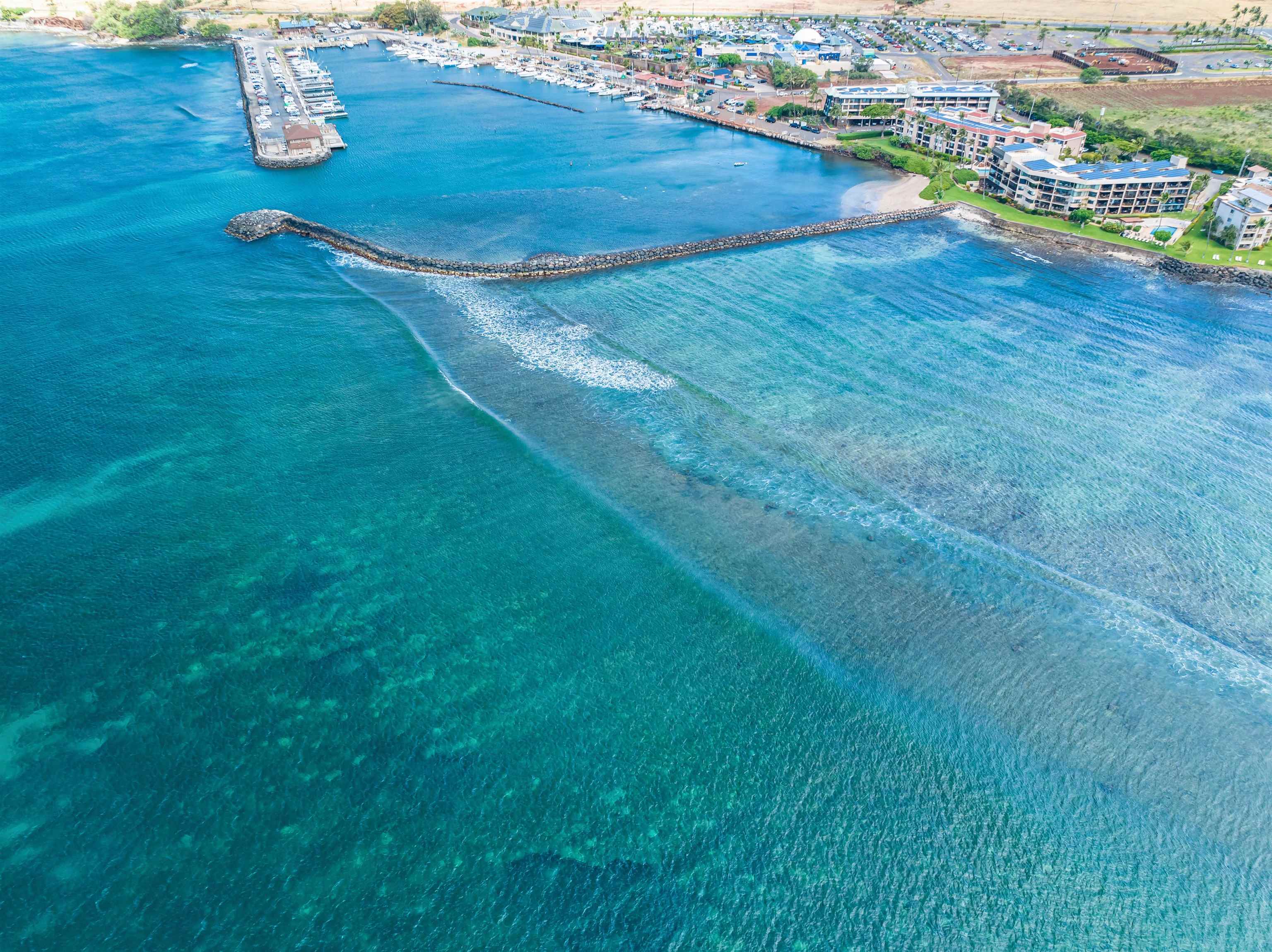 Milowai condo # 106, Wailuku, Hawaii - photo 6 of 24