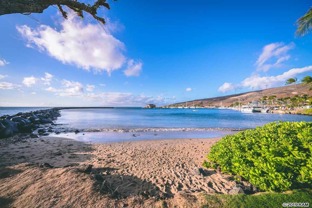 Milowai condo # 209, Wailuku, Hawaii - photo 27 of 30