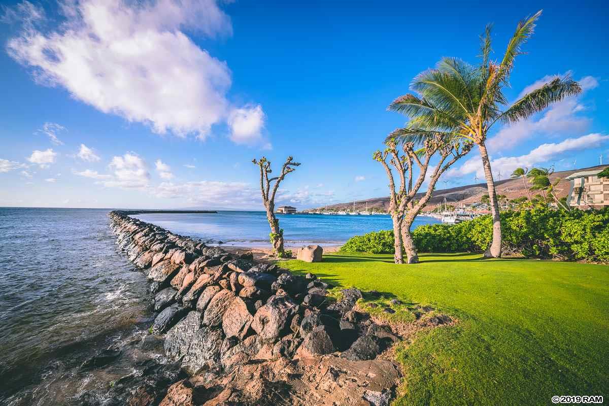 Milowai condo # 209, Wailuku, Hawaii - photo 28 of 30