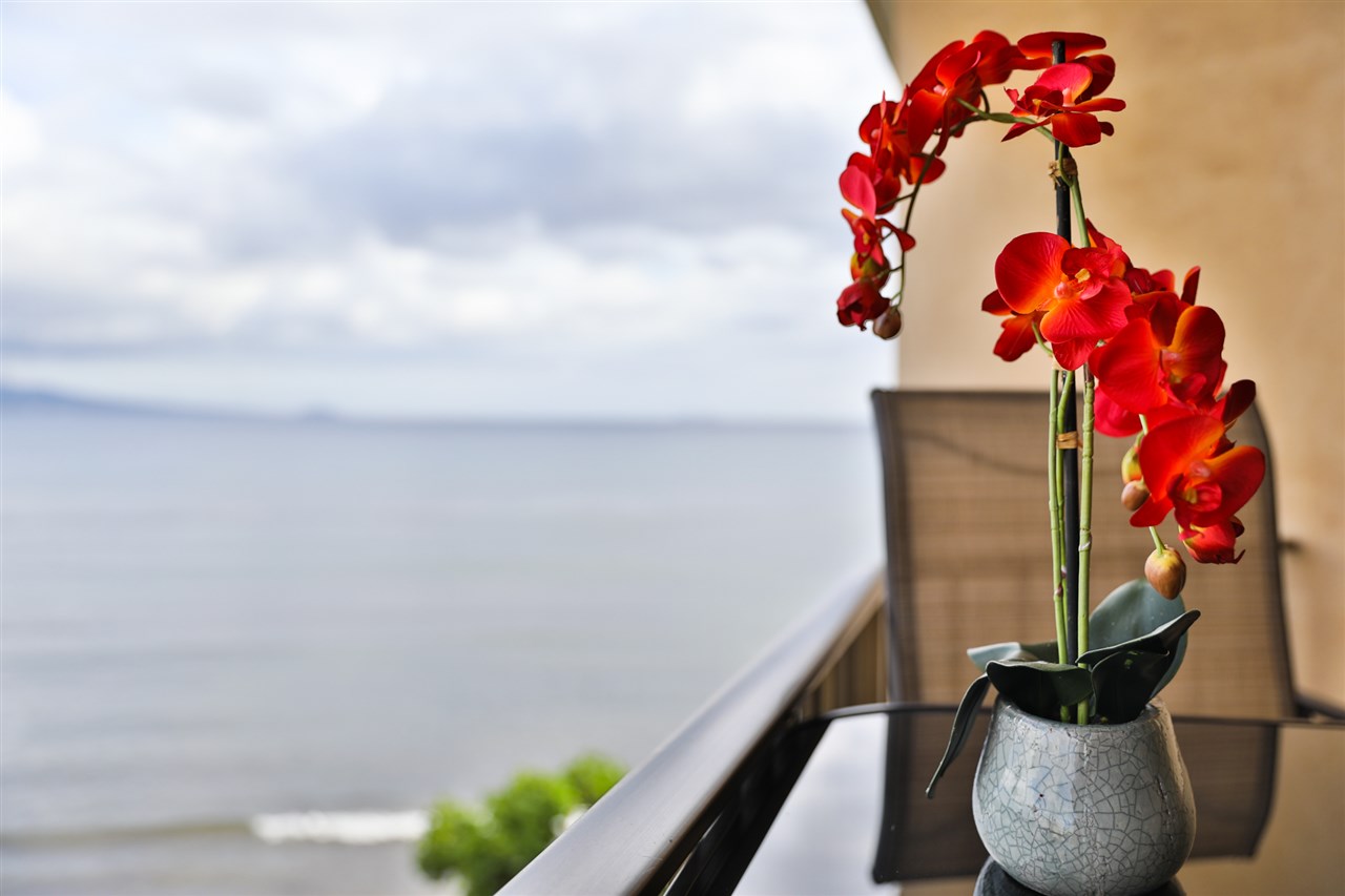 Milowai condo # 404, Wailuku, Hawaii - photo 16 of 21