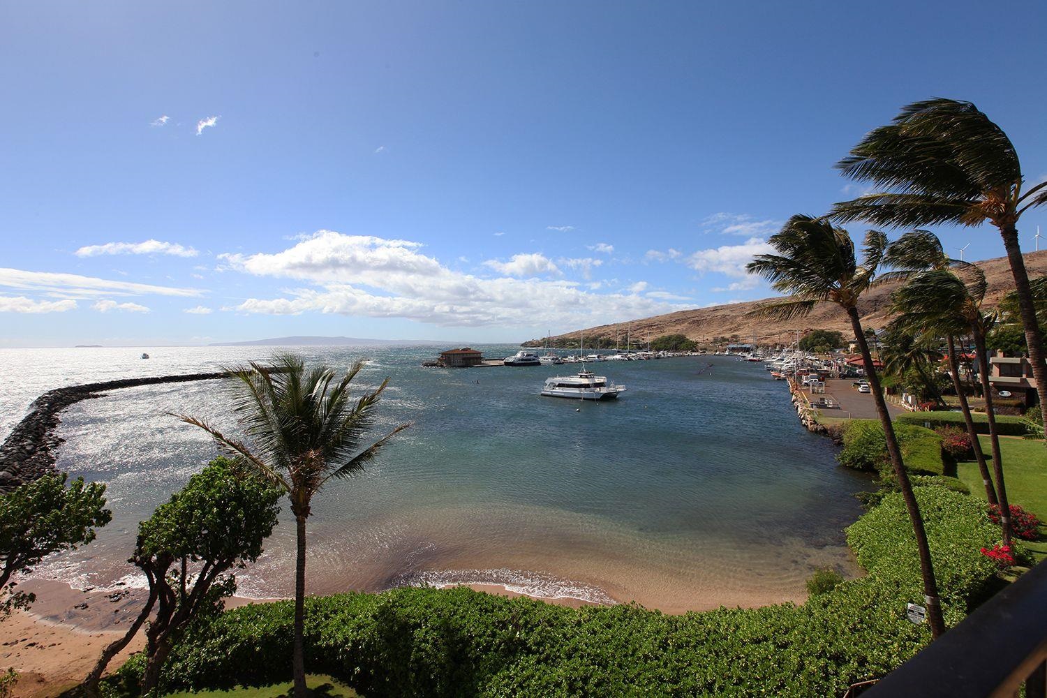 Milowai condo # 411, Wailuku, Hawaii - photo 4 of 21