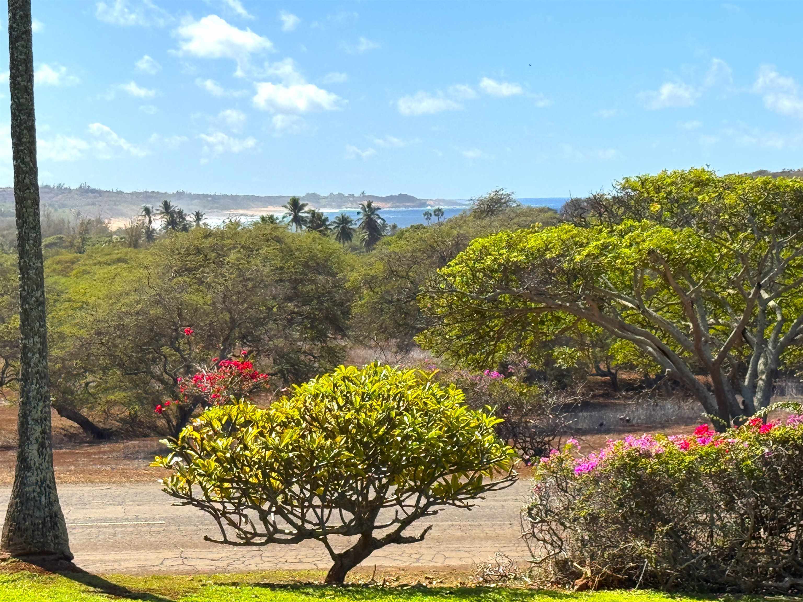 Ke Nani Kai condo # 110, Maunaloa, Hawaii - photo 17 of 22