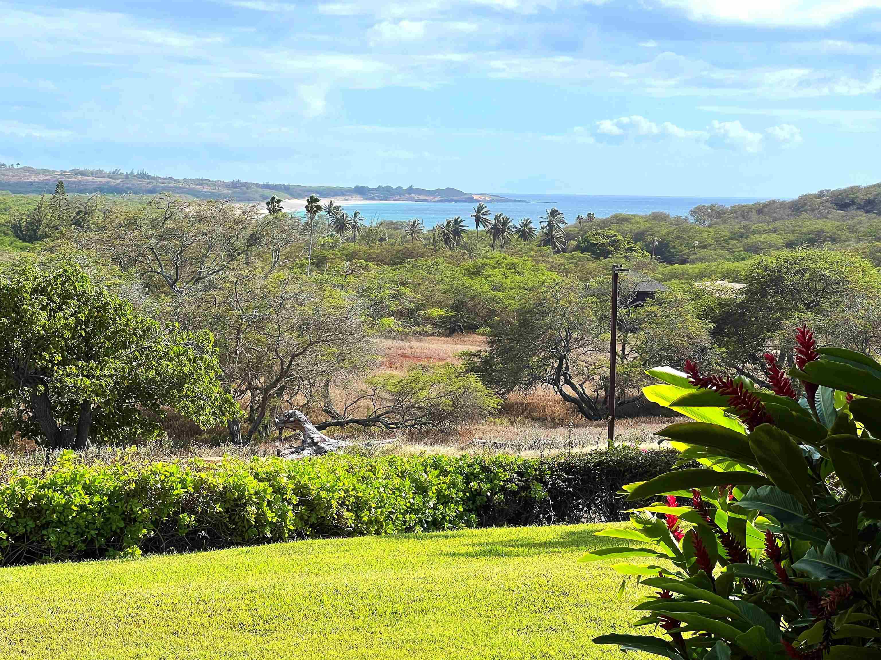 Ke Nani Kai condo # 115, Maunaloa, Hawaii - photo 22 of 22