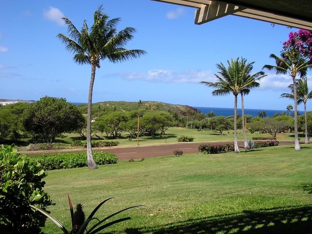 Ke Nani Kai condo # 116, Maunaloa, Hawaii - photo 17 of 19