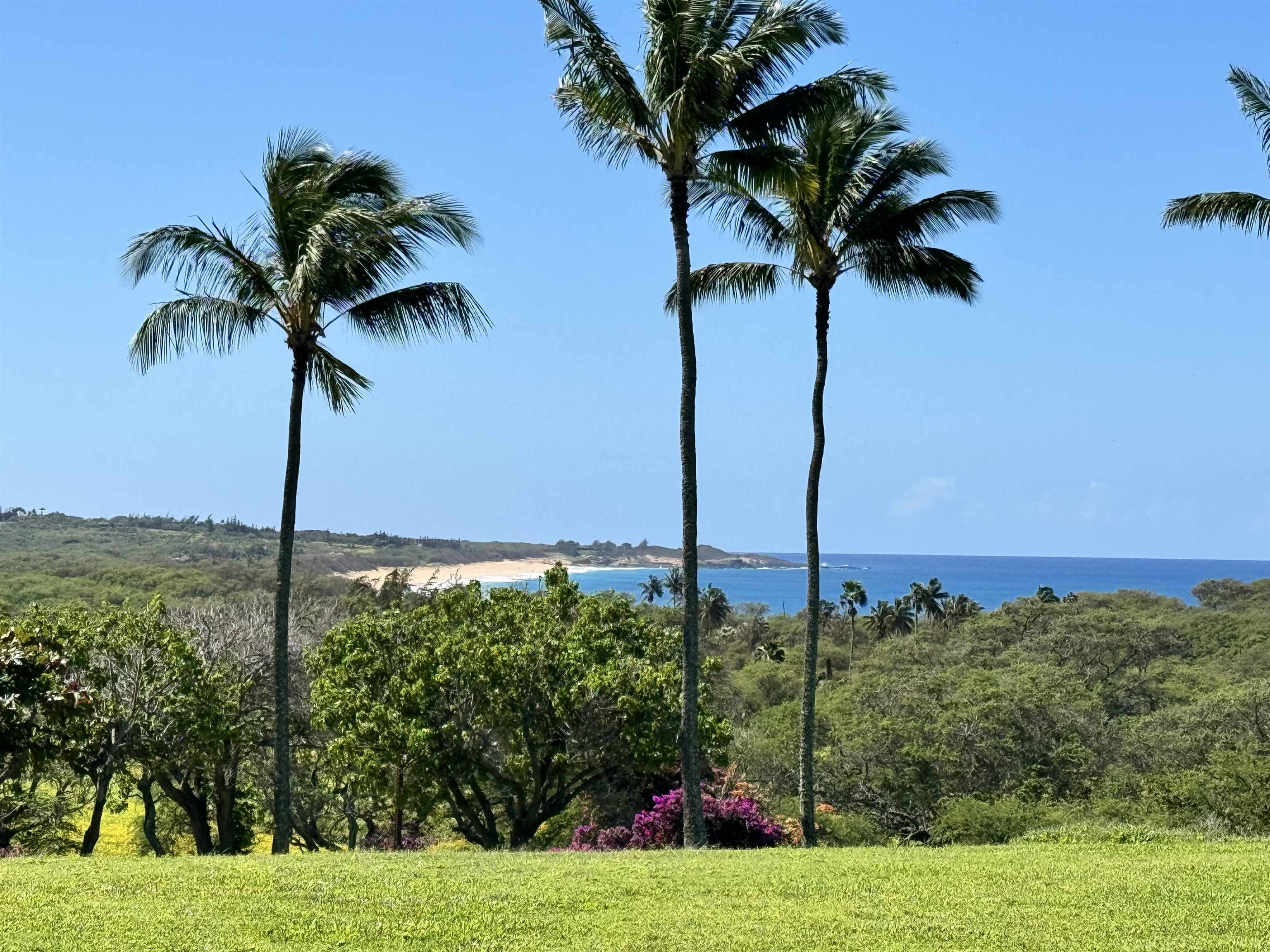 Ke Nani Kai condo # 121, Maunaloa, Hawaii - photo 2 of 21