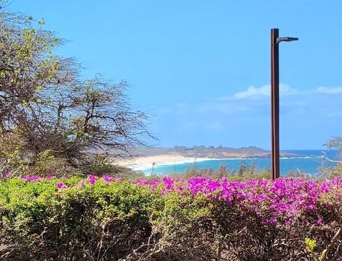 Ke Nani Kai condo # 128, Maunaloa, Hawaii - photo 22 of 22