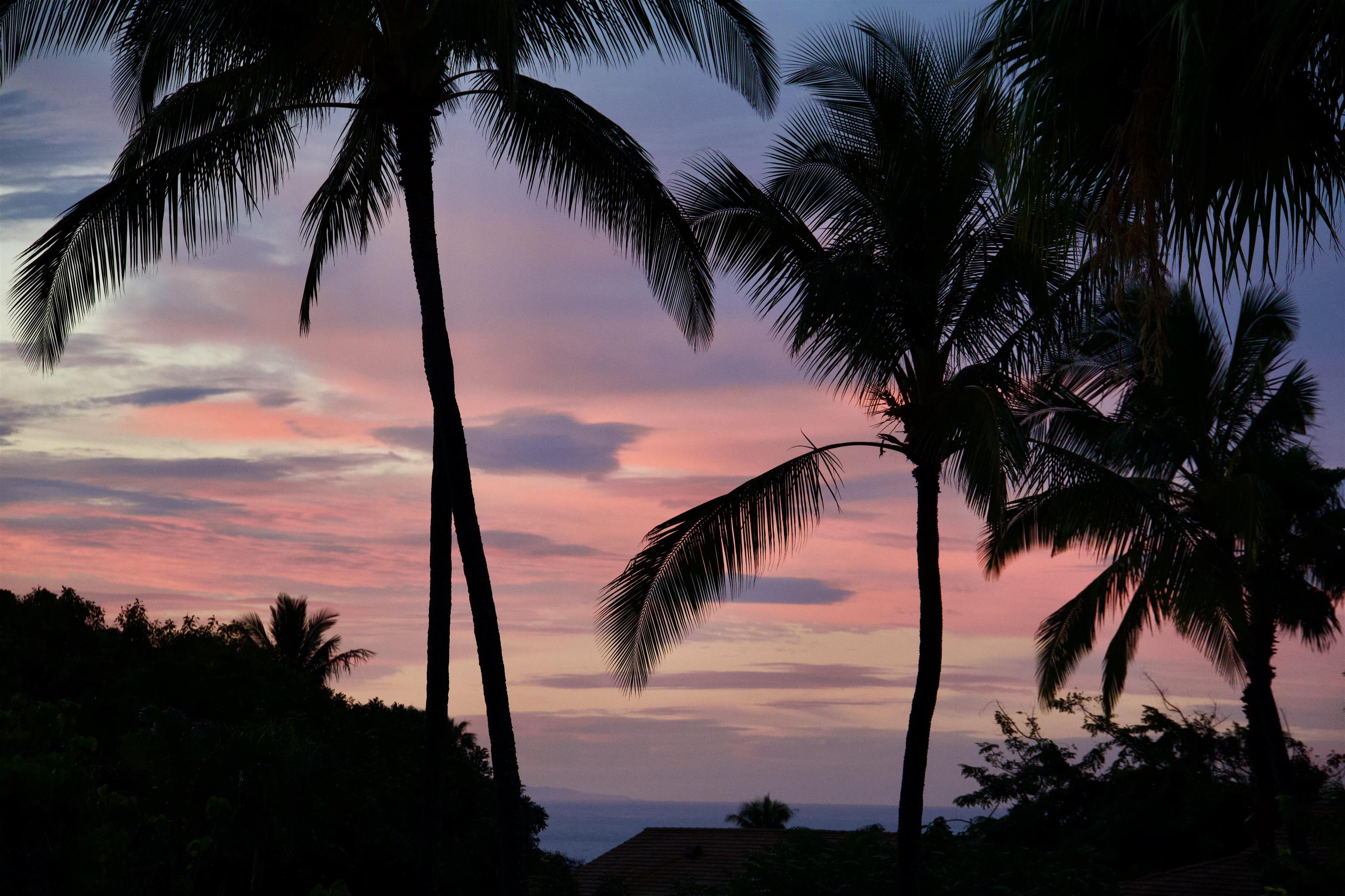 Ke Nani Kai condo # 140, Maunaloa, Hawaii - photo 21 of 21