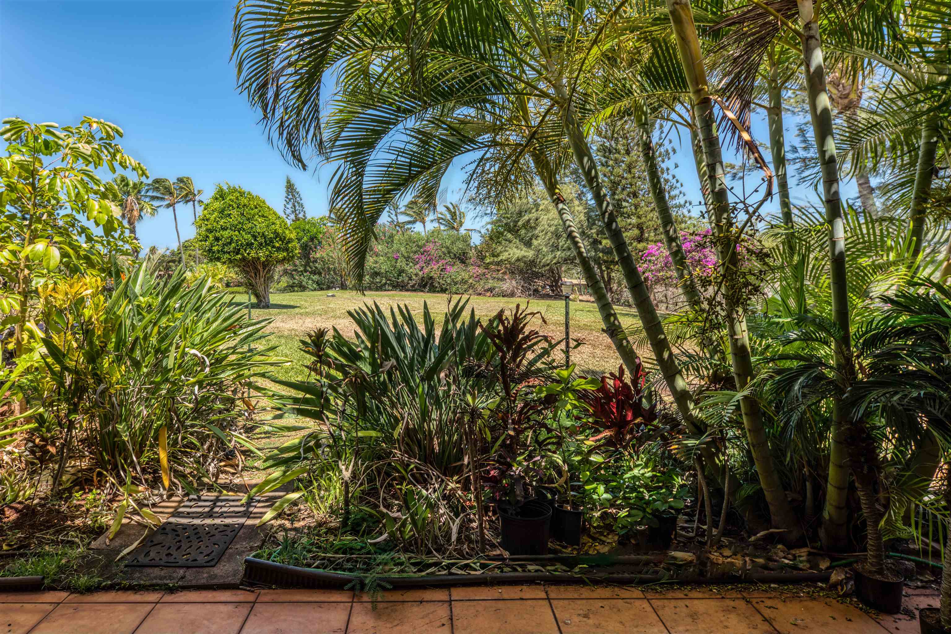 Ke Nani Kai condo # 143, Maunaloa, Hawaii - photo 2 of 11