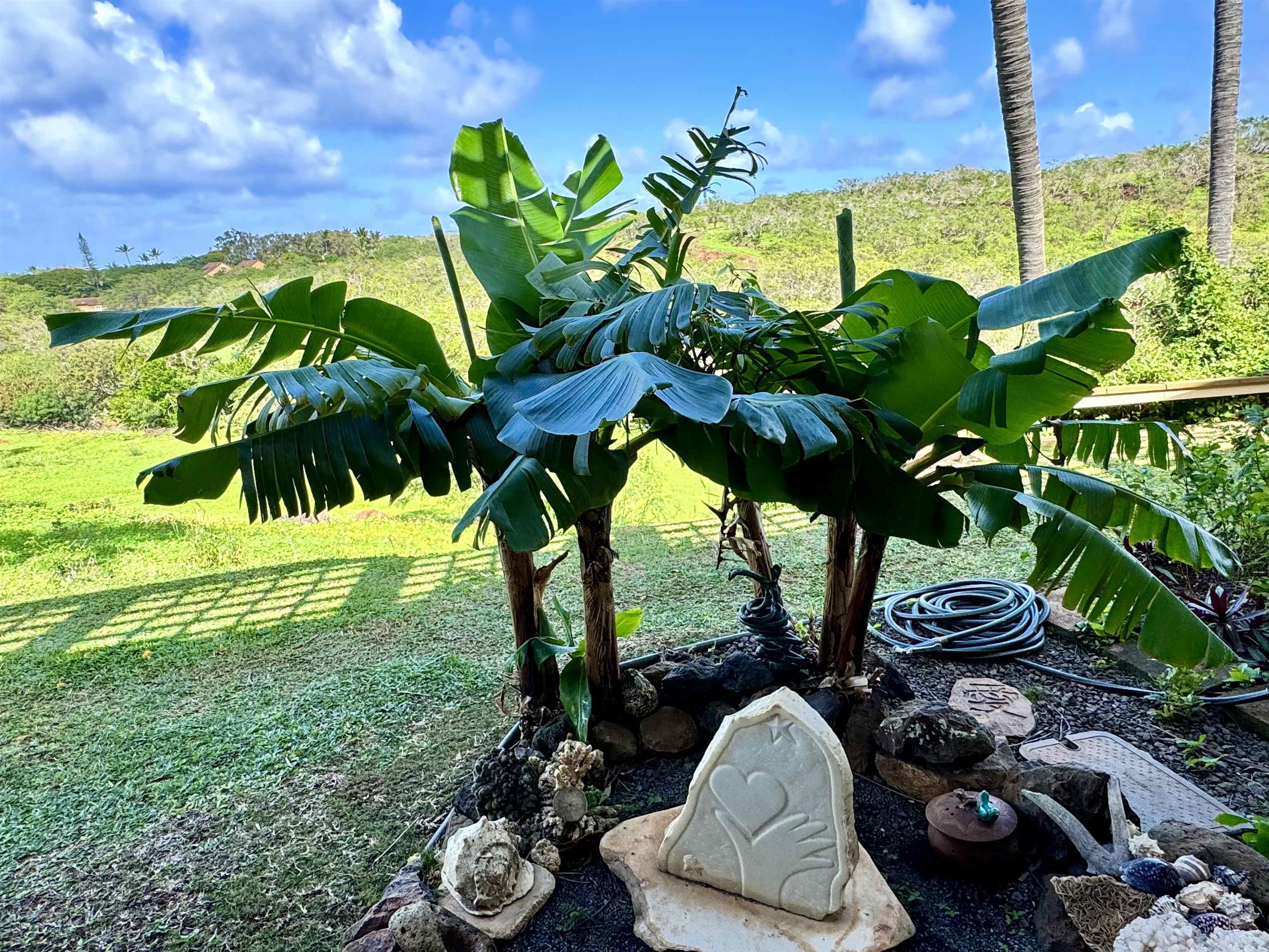 Ke Nani Kai condo # 152, Maunaloa, Hawaii - photo 18 of 23