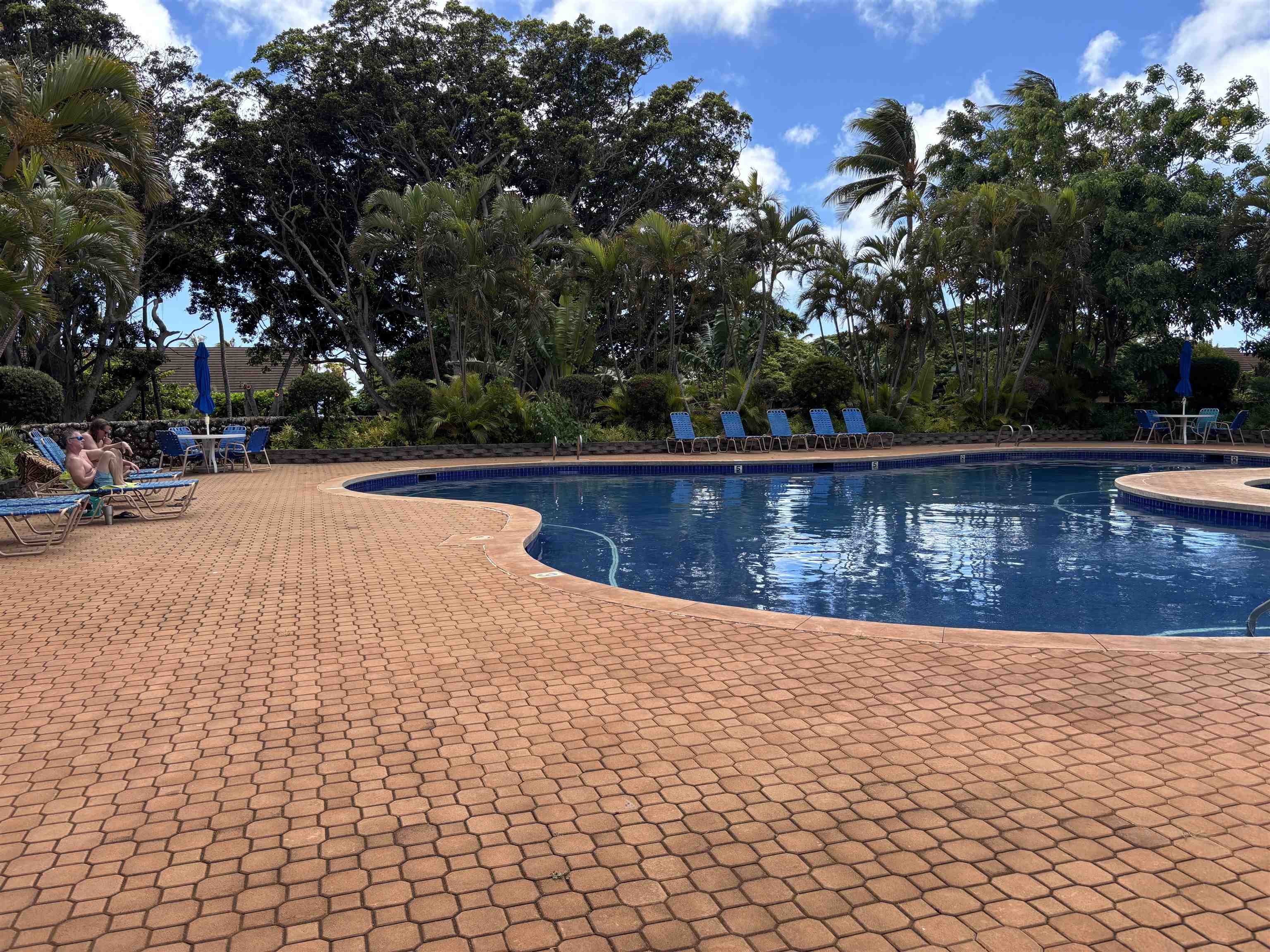 Ke Nani Kai condo # 159, Maunaloa, Hawaii - photo 13 of 17