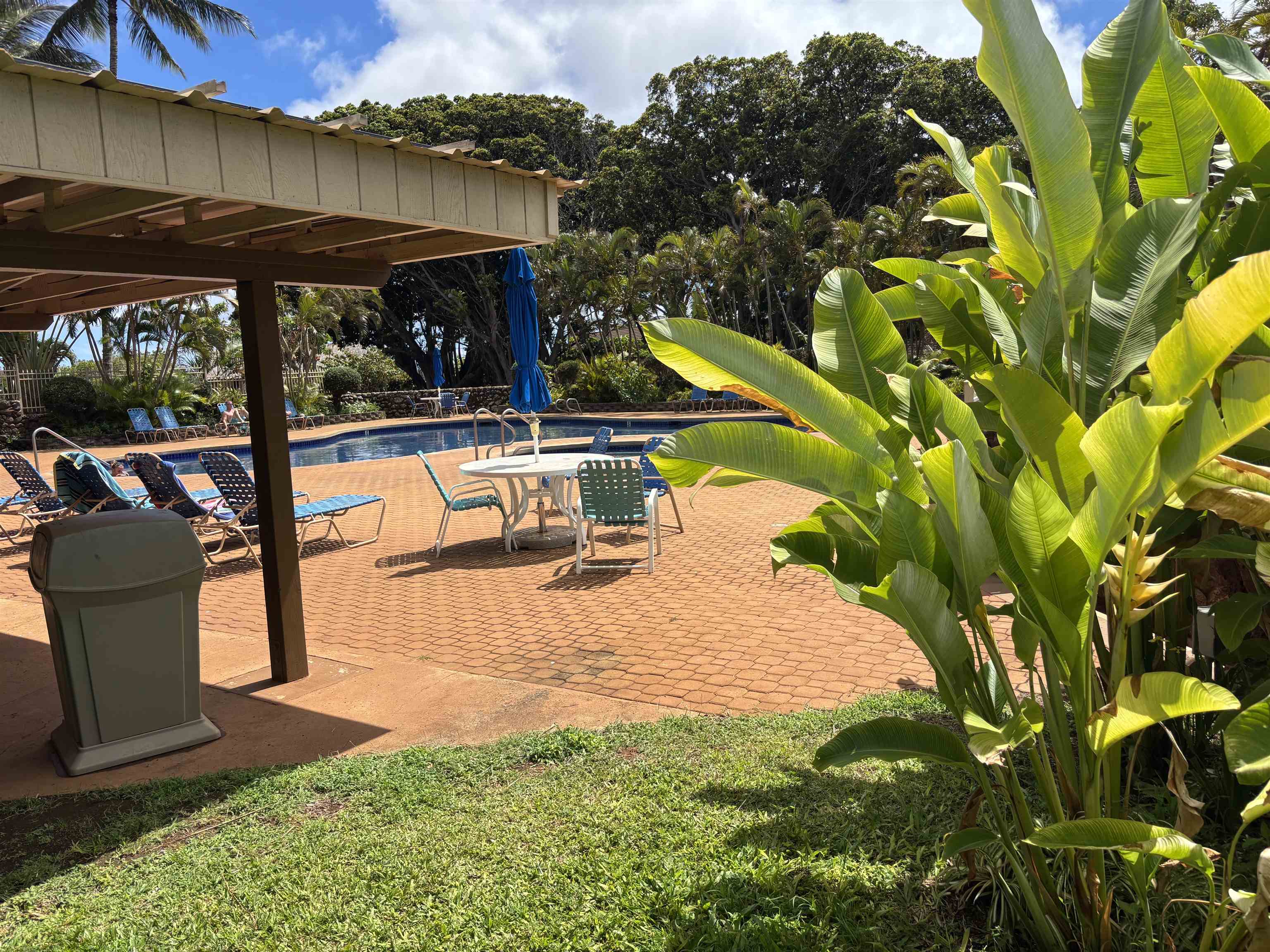 Ke Nani Kai condo # 159, Maunaloa, Hawaii - photo 14 of 17