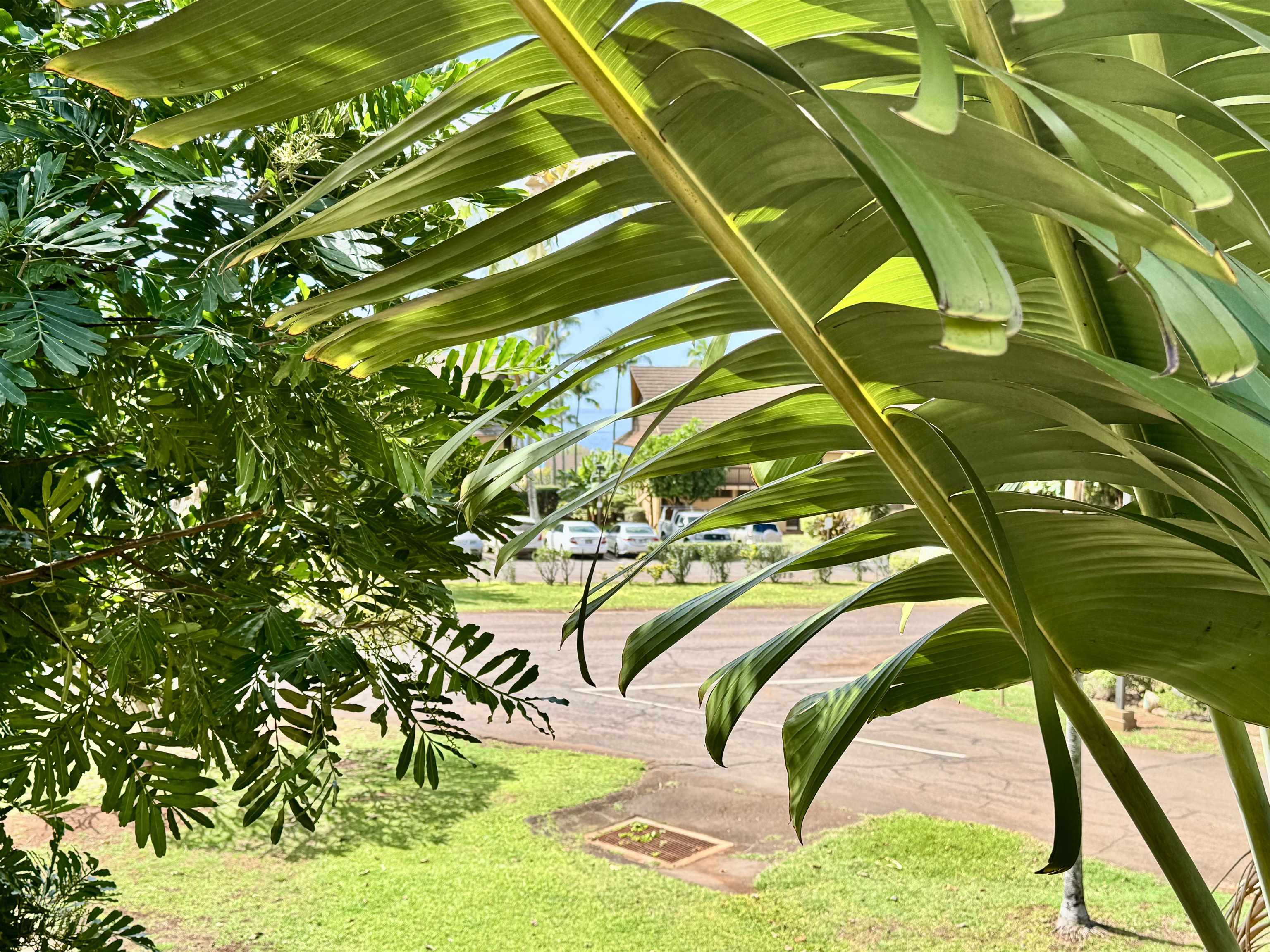 Ke Nani Kai condo # 201, Maunaloa, Hawaii - photo 26 of 26