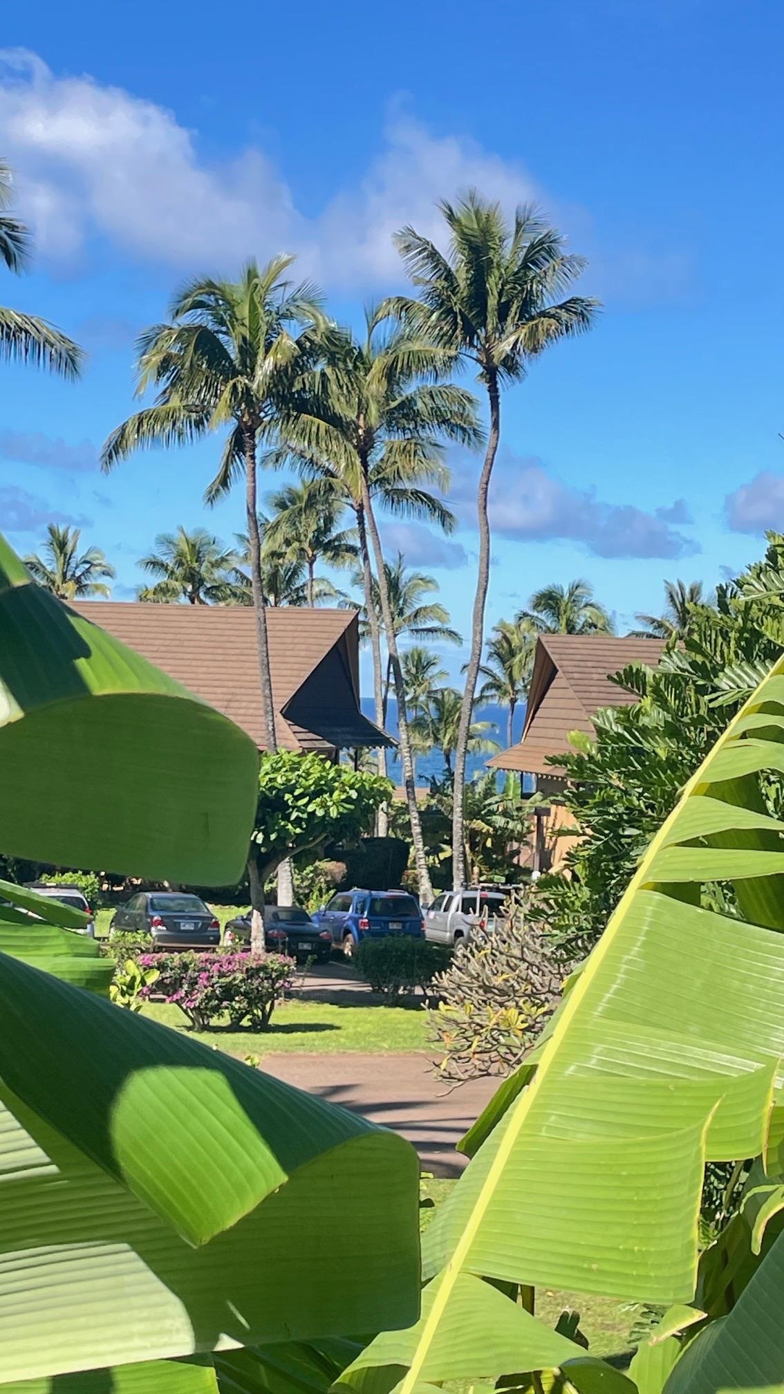 Ke Nani Kai condo # 202, Maunaloa, Hawaii - photo 20 of 41