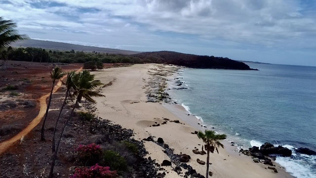 Ke Nani Kai condo # 202, Maunaloa, Hawaii - photo 32 of 41