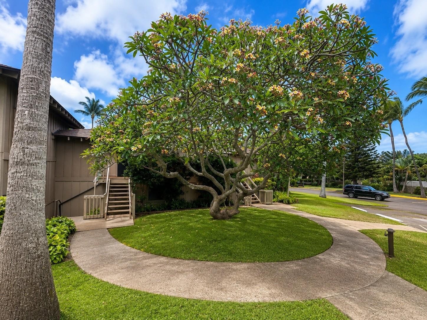 Ke Nani Kai condo # 202, Maunaloa, Hawaii - photo 3 of 27