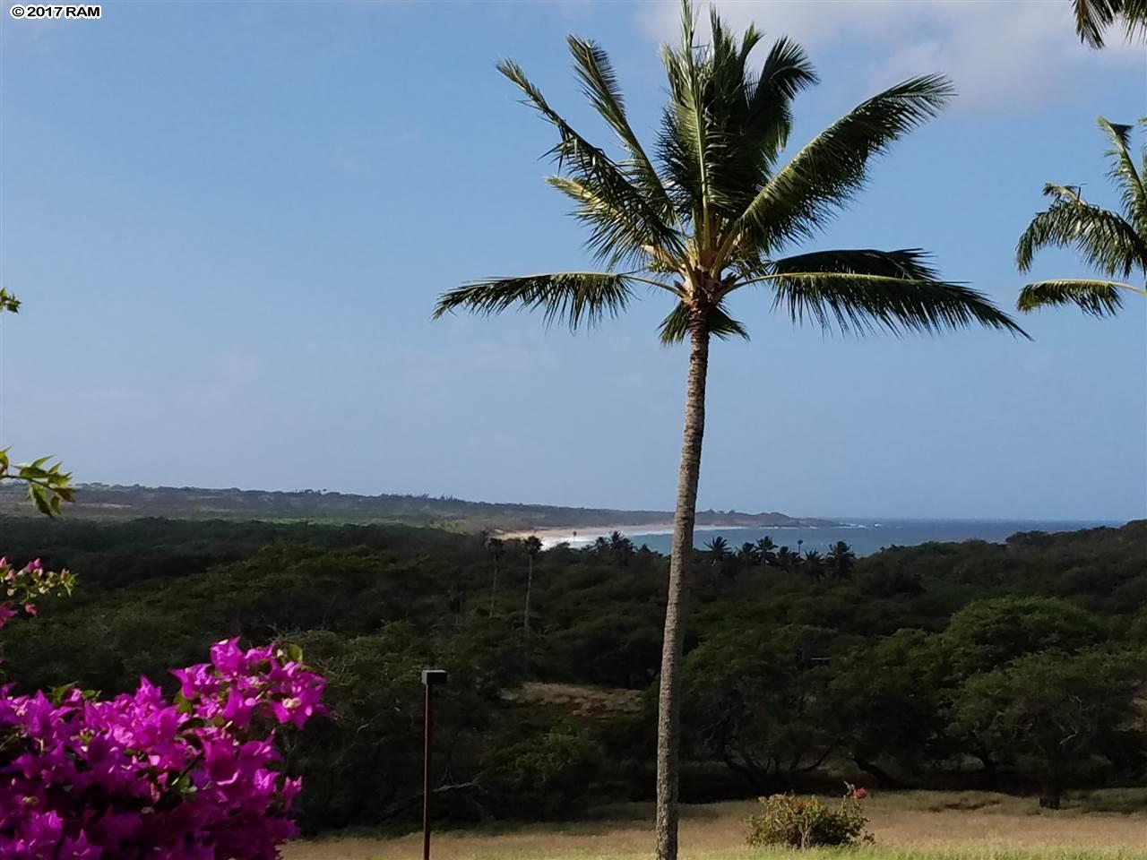 Ke Nani Kai condo # 213, Maunaloa, Hawaii - photo 11 of 16