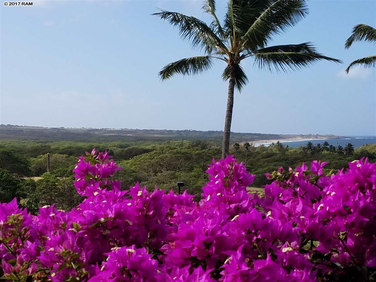 Ke Nani Kai condo # 213, Maunaloa, Hawaii - photo 12 of 16