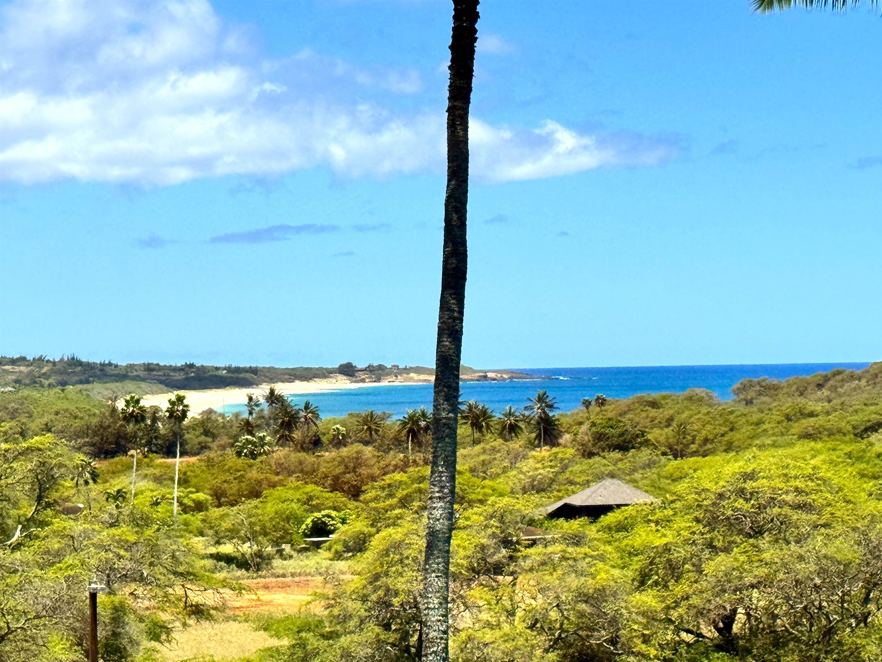 Ke Nani Kai condo # 213, Maunaloa, Hawaii - photo 2 of 25