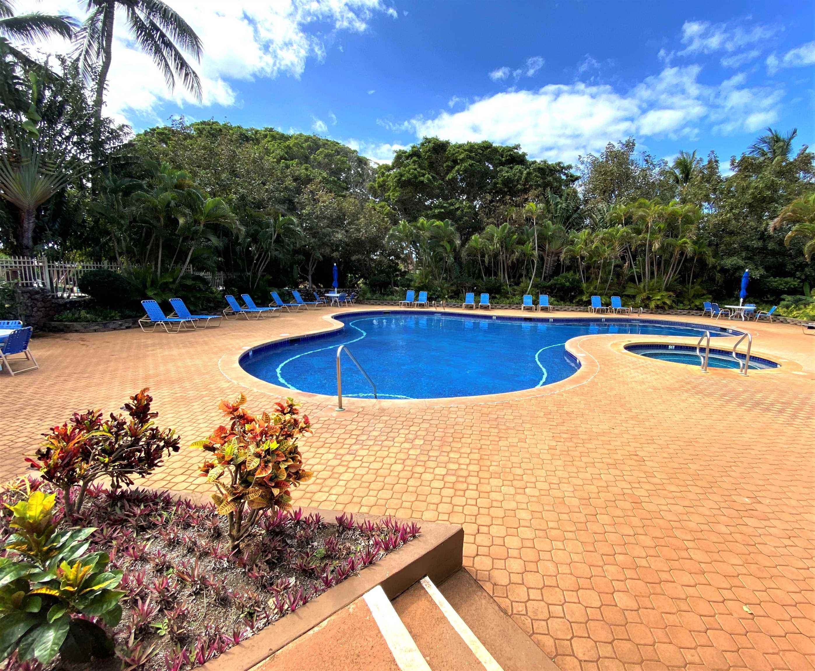 Ke Nani Kai condo # 213, Maunaloa, Hawaii - photo 19 of 25