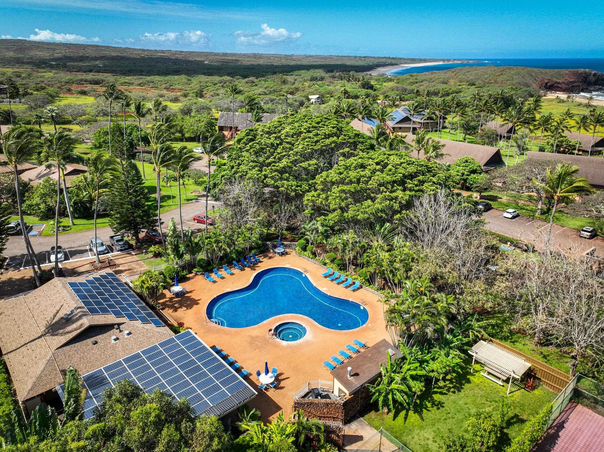 Ke Nani Kai condo # 213, Maunaloa, Hawaii - photo 22 of 25