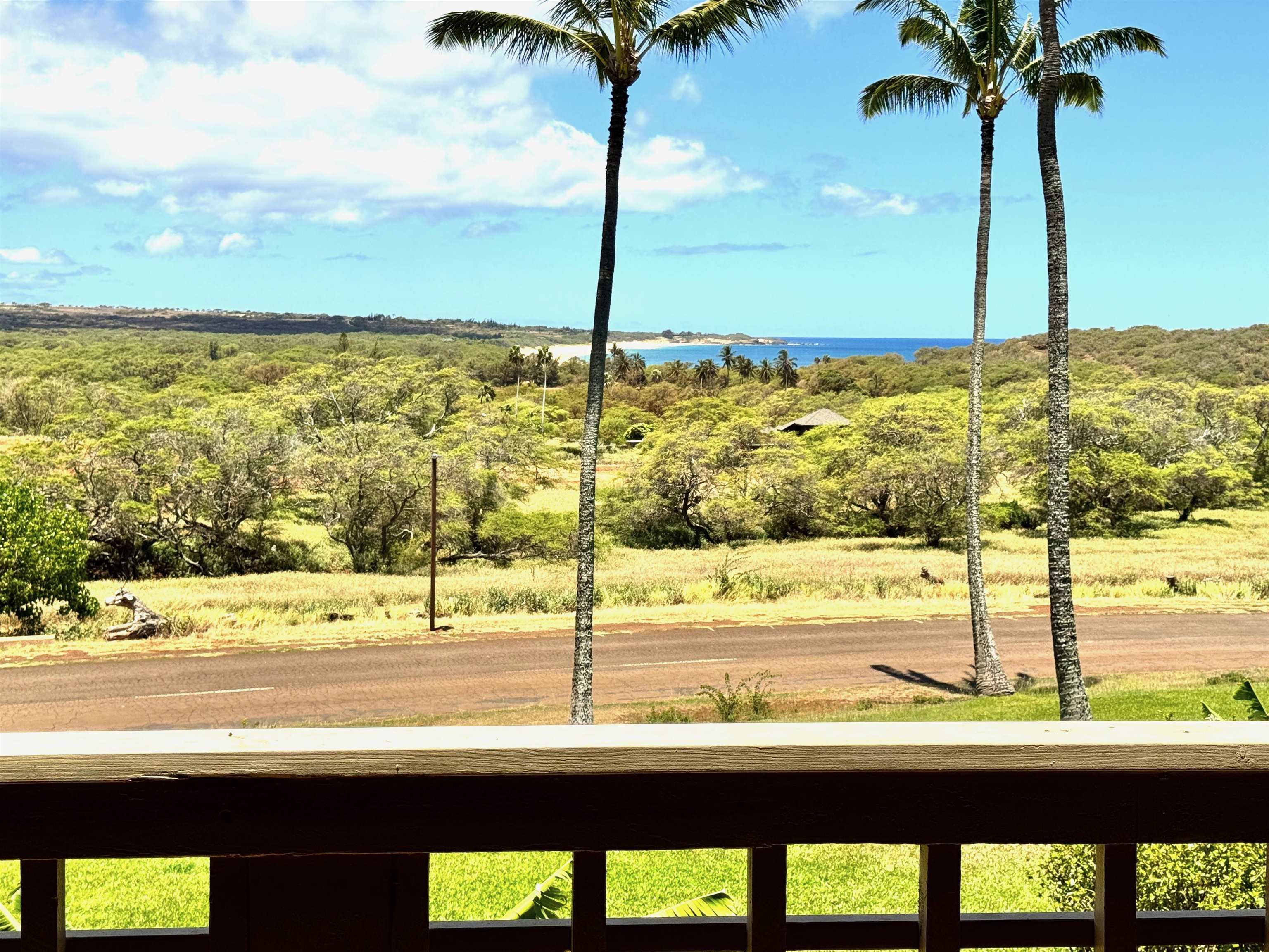 Ke Nani Kai condo # 213, Maunaloa, Hawaii - photo 24 of 25