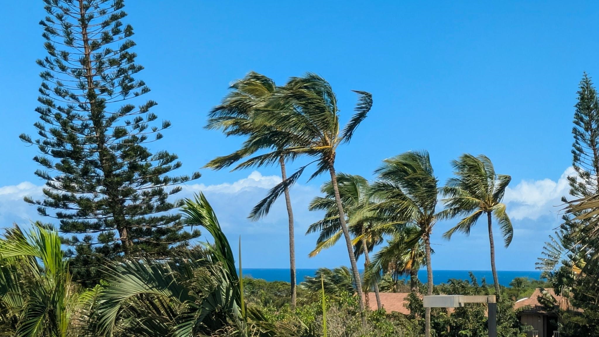 Ke Nani Kai condo # 238, Maunaloa, Hawaii - photo 2 of 45