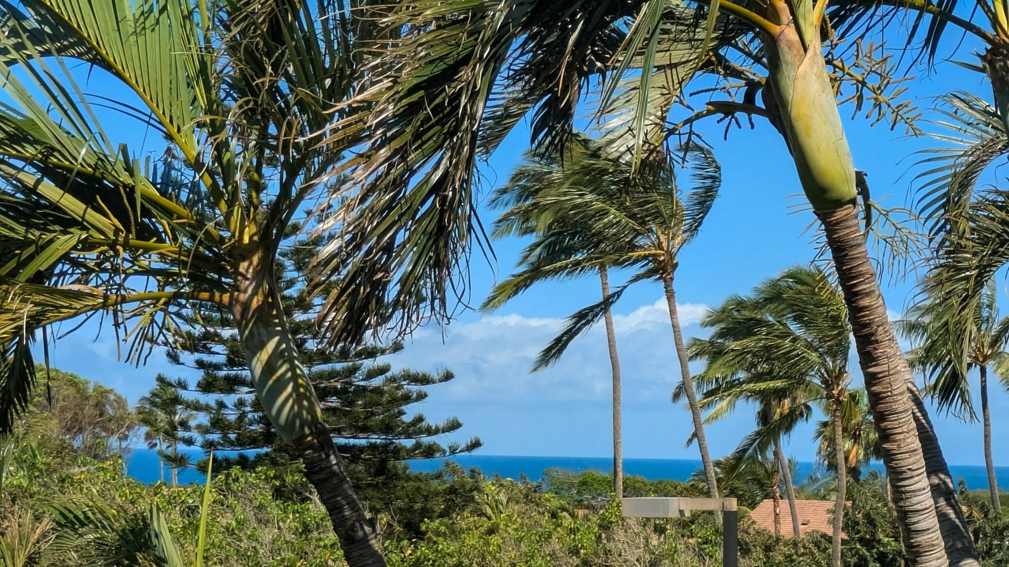 Ke Nani Kai condo # 238, Maunaloa, Hawaii - photo 34 of 45