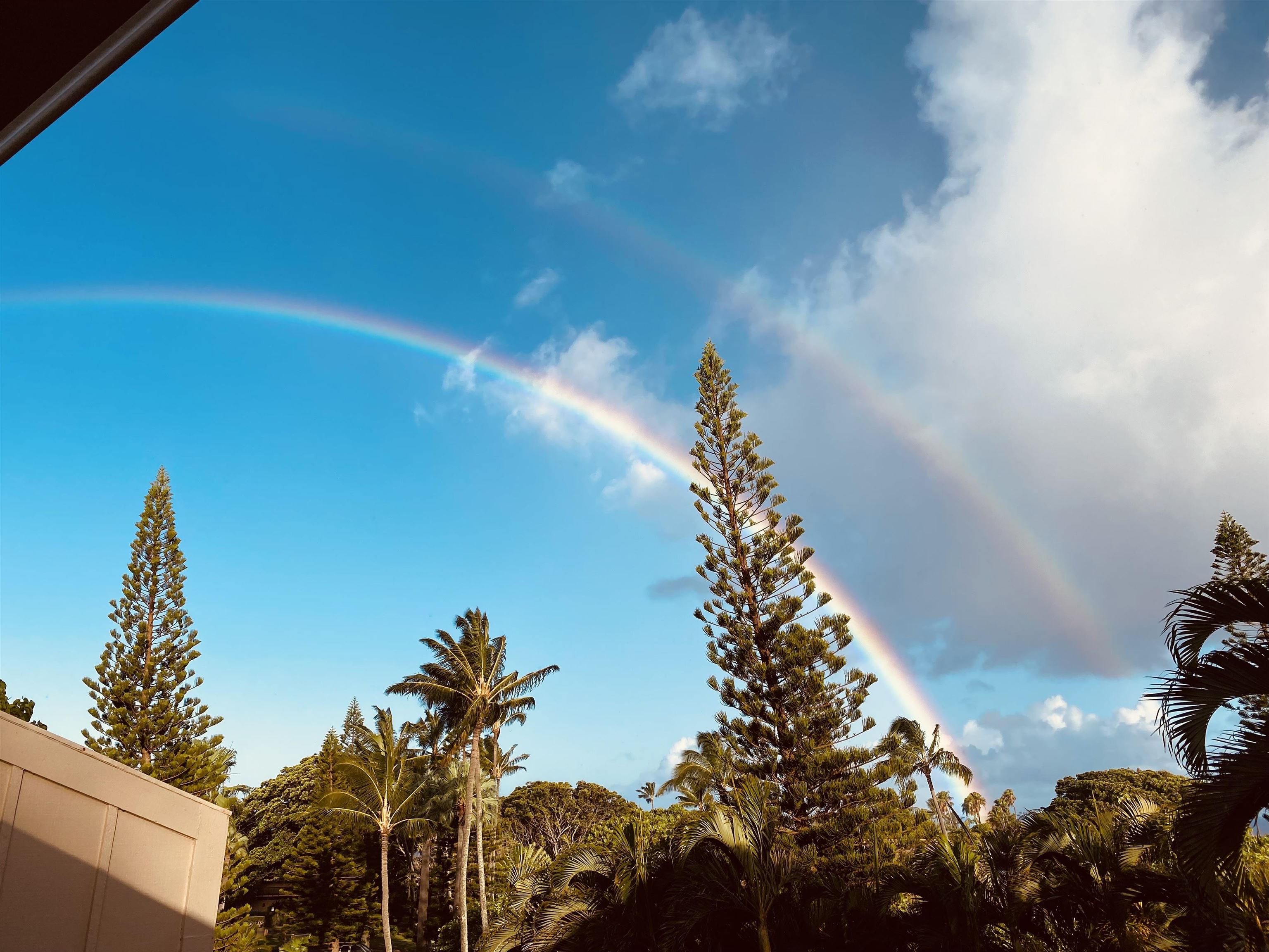 Ke Nani Kai condo # 238, Maunaloa, Hawaii - photo 35 of 45