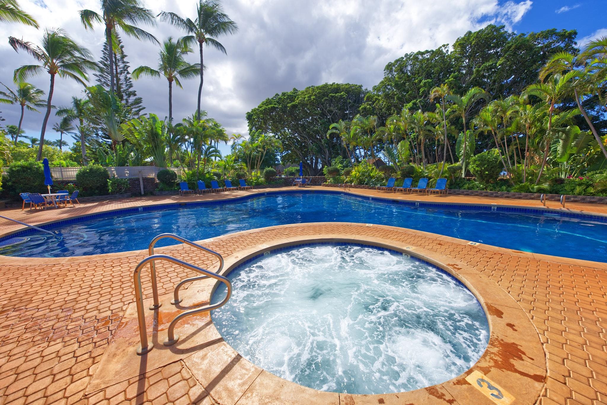 Ke Nani Kai condo # 242, Maunaloa, Hawaii - photo 19 of 29