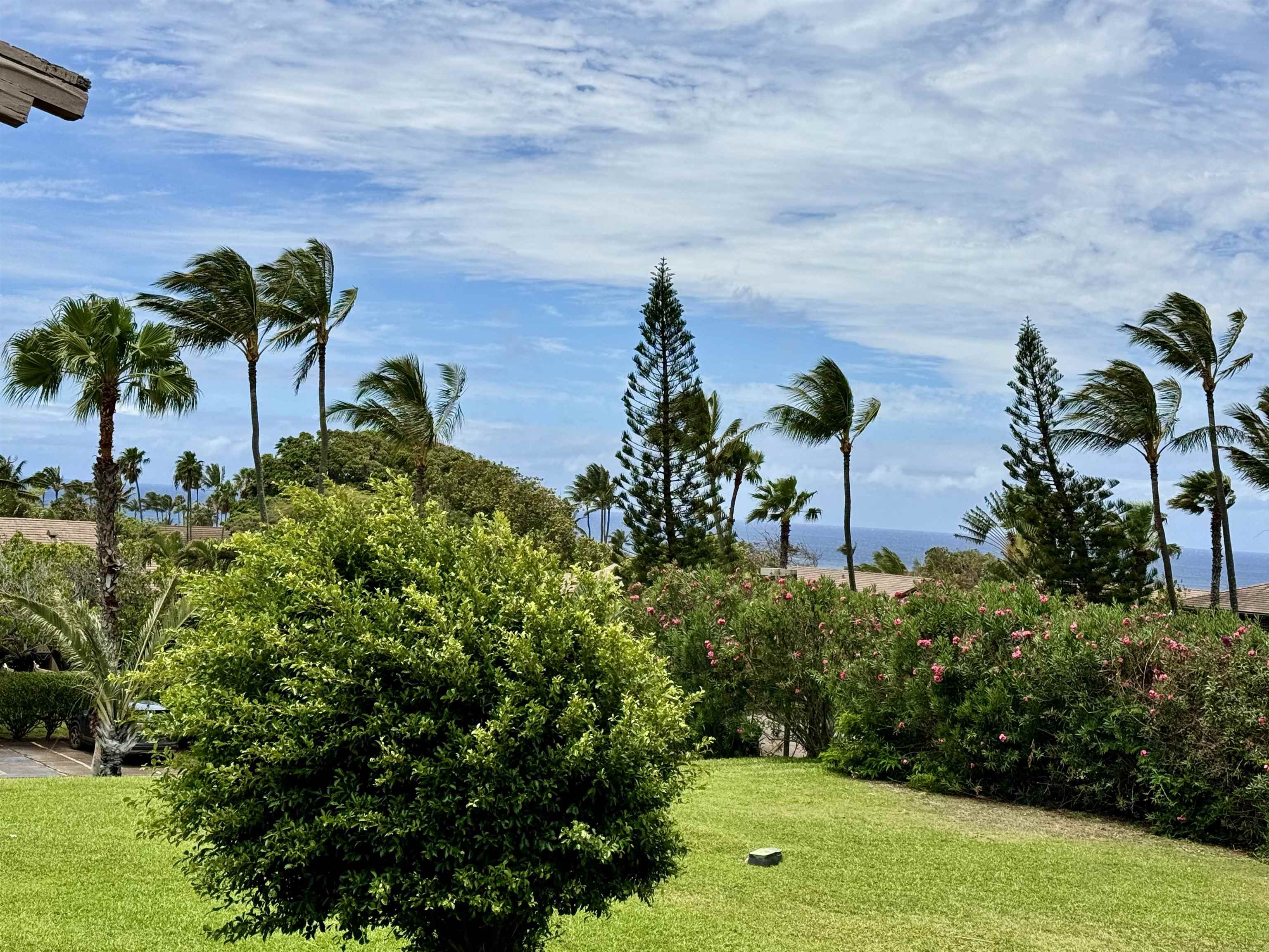 Ke Nani Kai condo # 243, Maunaloa, Hawaii - photo 21 of 21