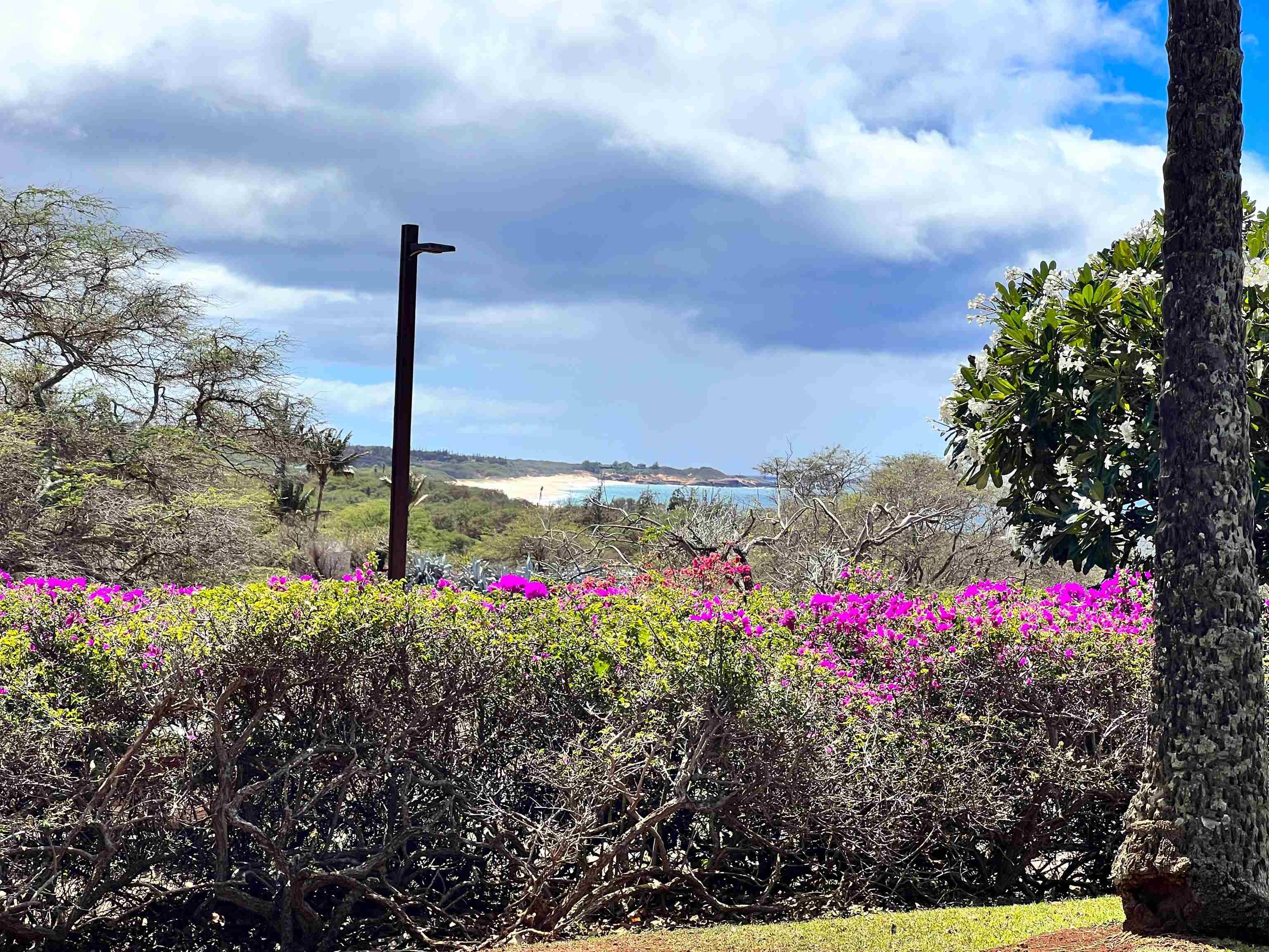 Ke Nani Kai condo # Unit 127, Maunaloa, Hawaii - photo 13 of 20