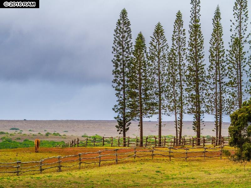 Villas at Koele I condo # 15B, Lanai City, Hawaii - photo 27 of 29