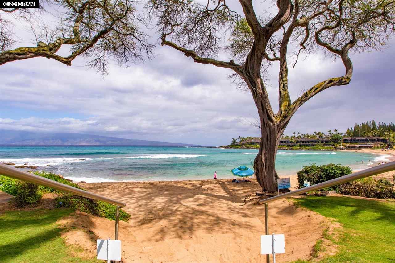 Napili Surf condo # 203, Lahaina, Hawaii - photo 18 of 26