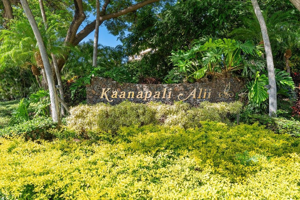 Kaanapali Alii condo # 1-1101, Lahaina, Hawaii - photo 42 of 42