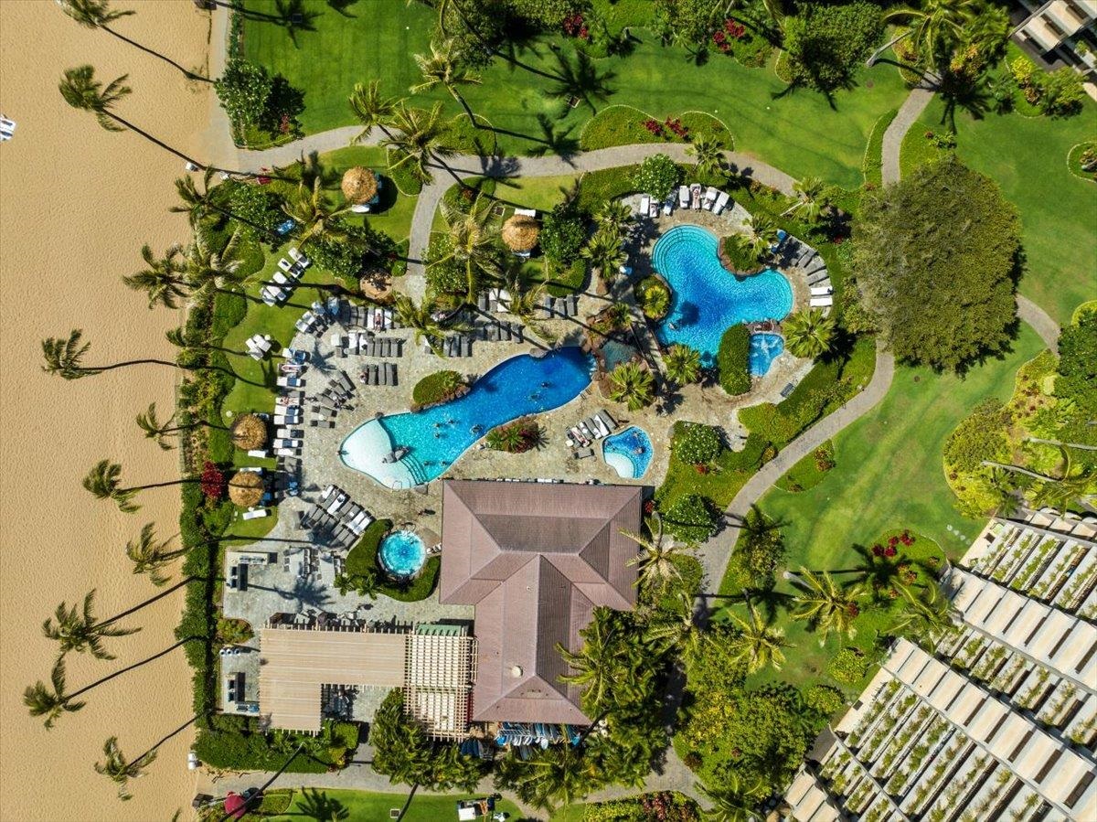 Kaanapali Alii condo # 1-201, Lahaina, Hawaii - photo 2 of 50