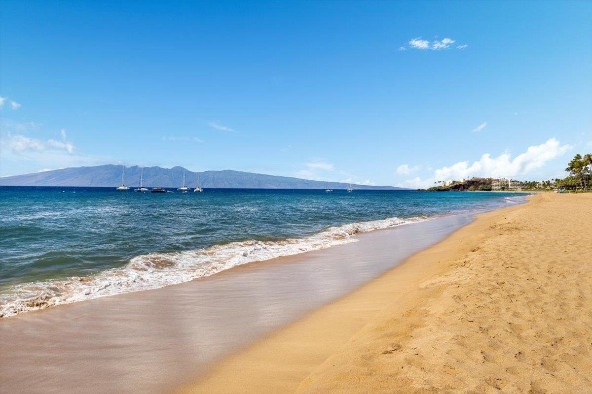 Kaanapali Alii condo # 1-201, Lahaina, Hawaii - photo 40 of 50