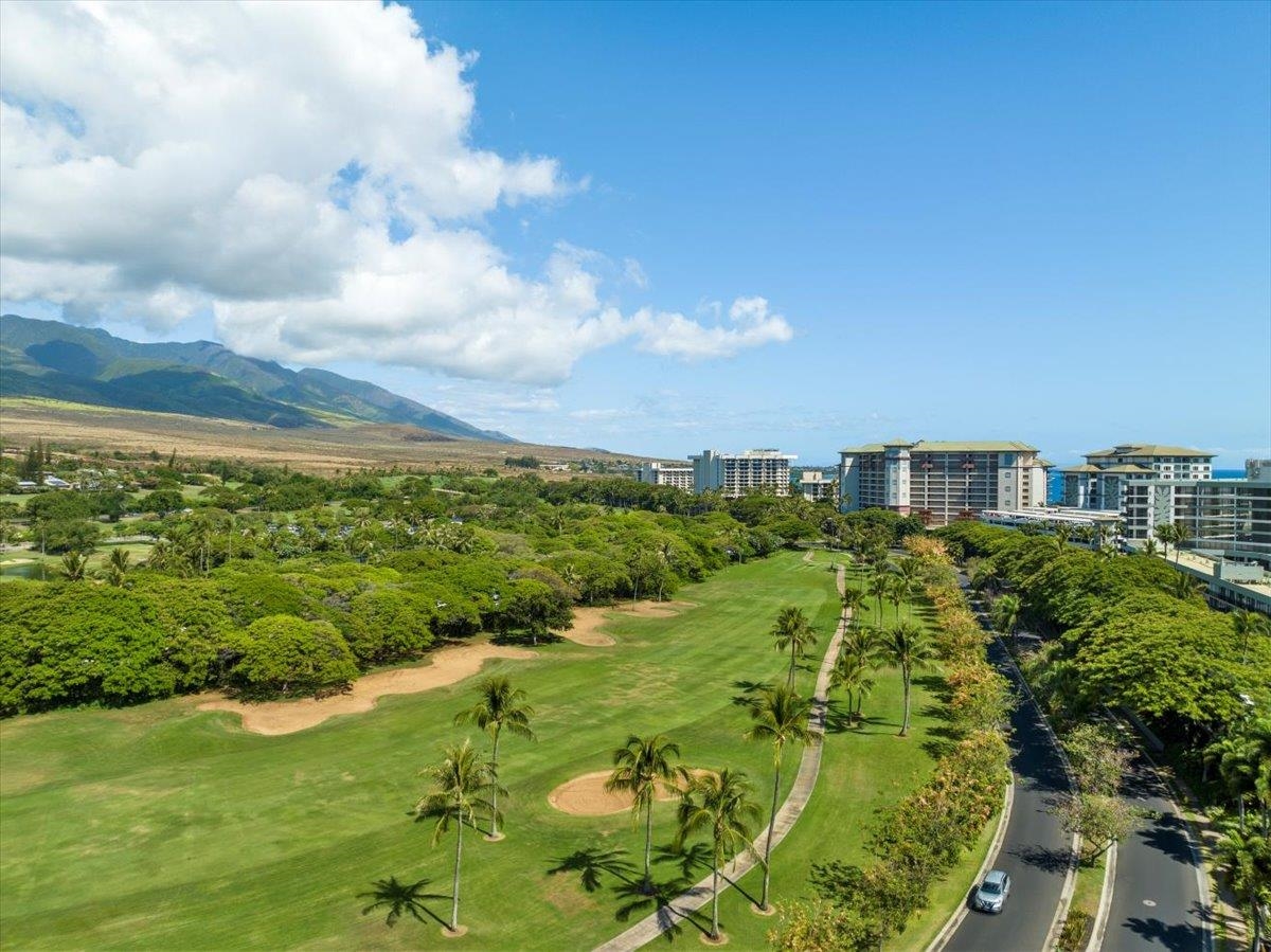 Kaanapali Alii condo # 1-201, Lahaina, Hawaii - photo 48 of 50